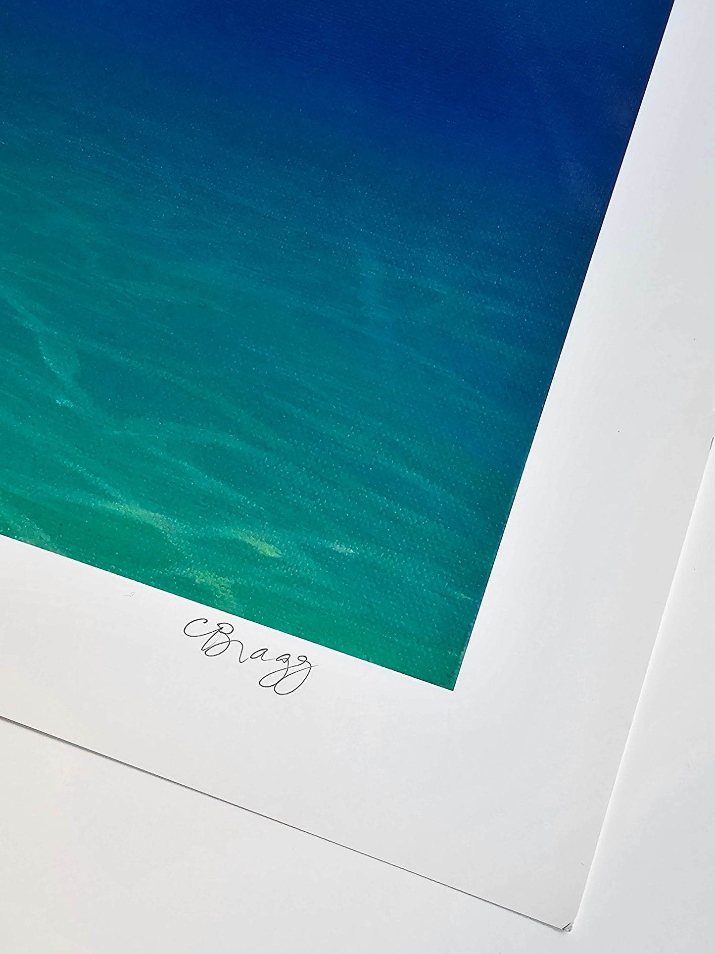 Charles Lynn Bragg "Under the Waves II" dolphin pelican ocean wave art