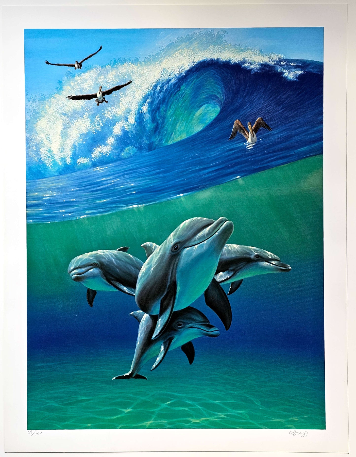 Charles Lynn Bragg "Under the Waves II" dolphin pelican ocean wave art