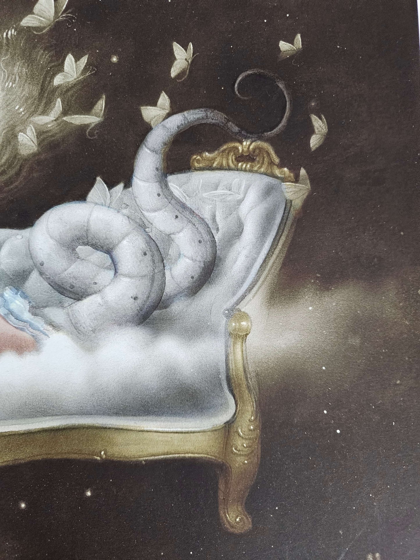 Nicoletta Ceccoli Nocturne