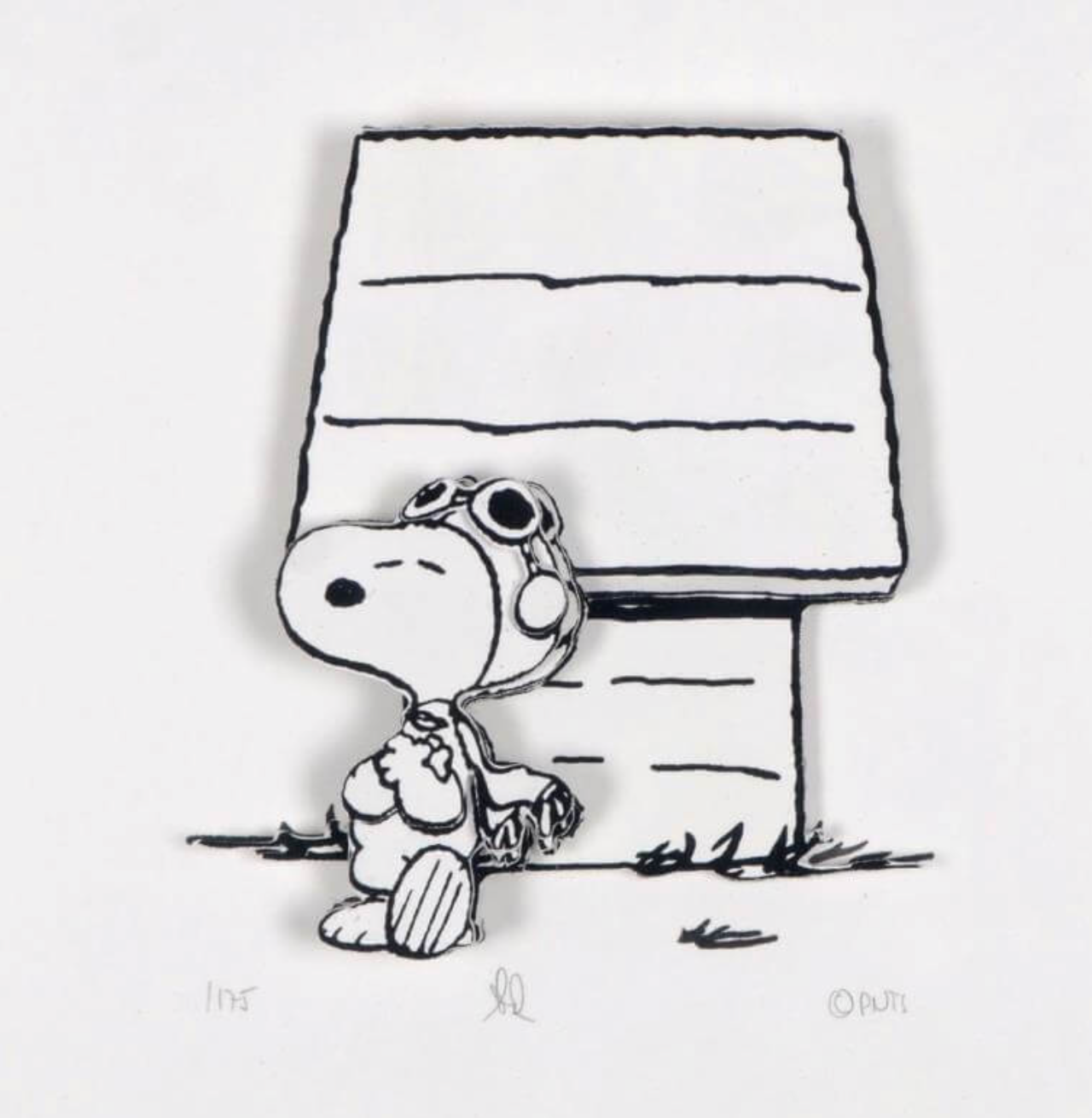 Peanuts "Hero"