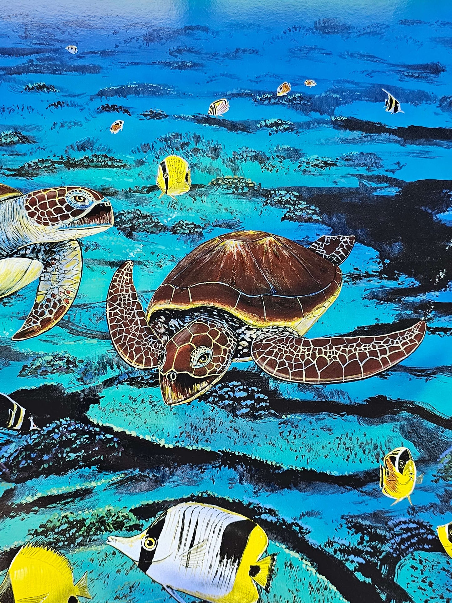sea turtle swimming between fish