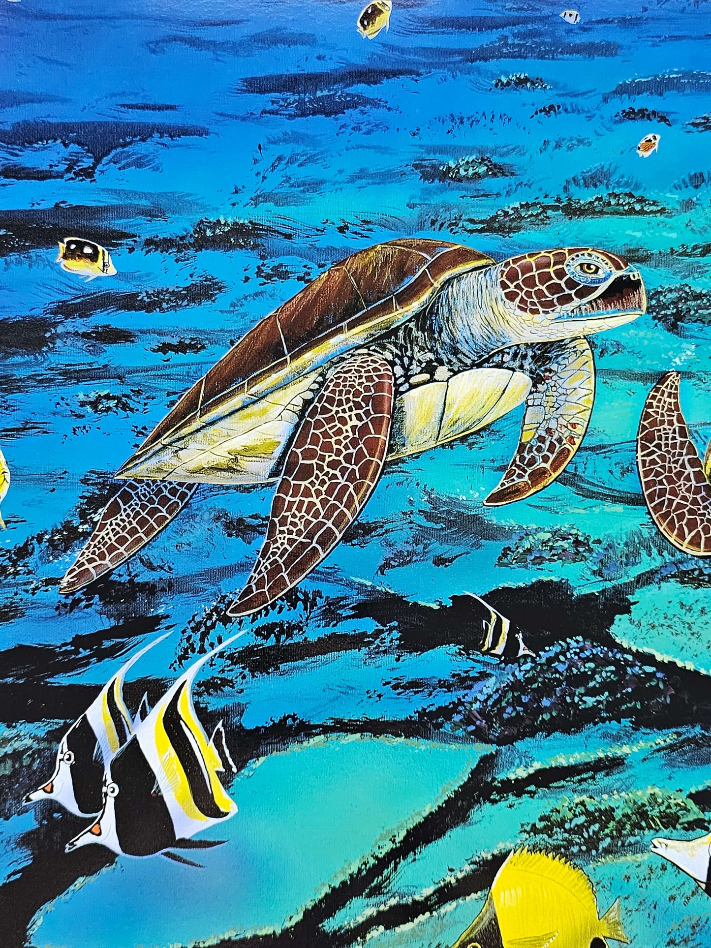 sea turtle art