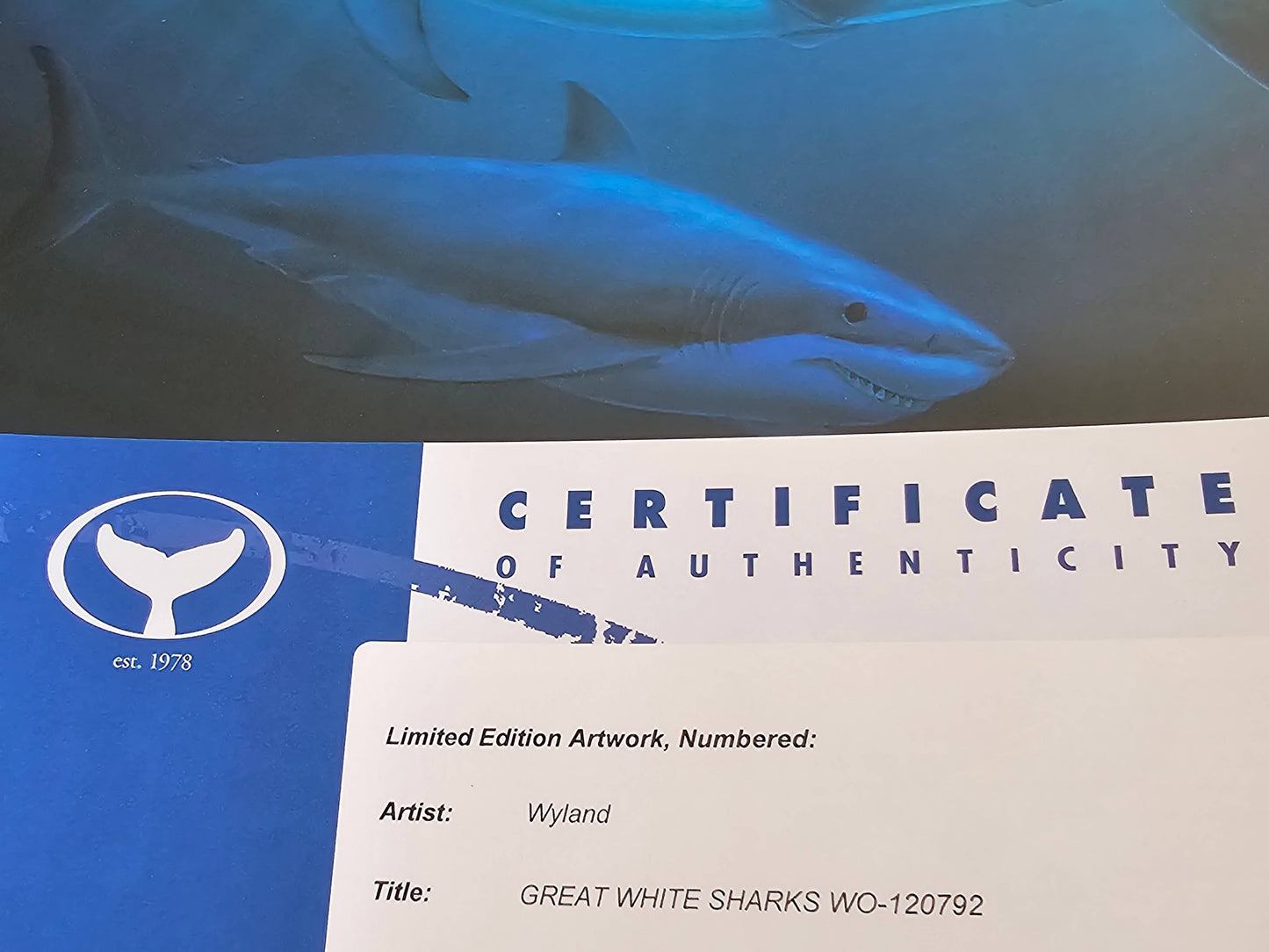 Great White sharks art by Wyland com