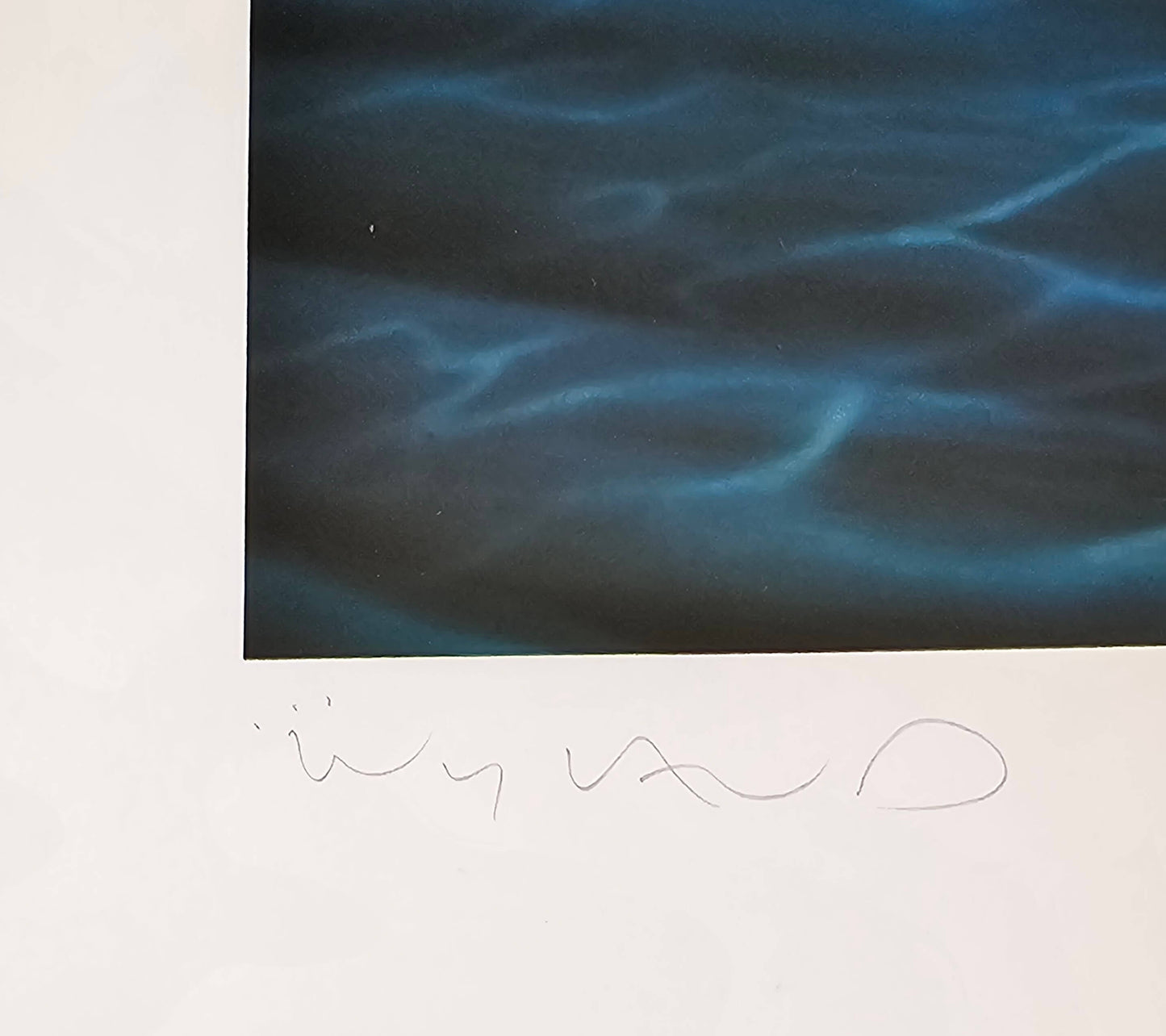 Great White sharks art by Wyland hand signed
