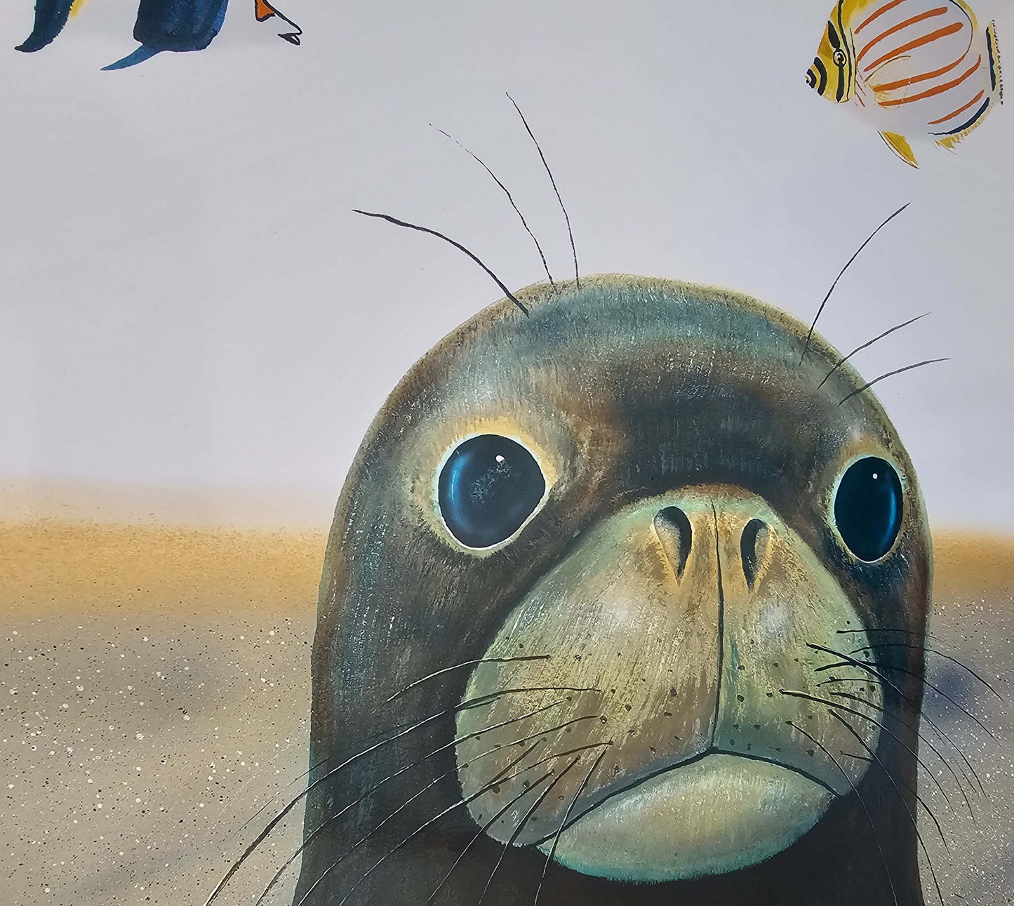 Monk seal face