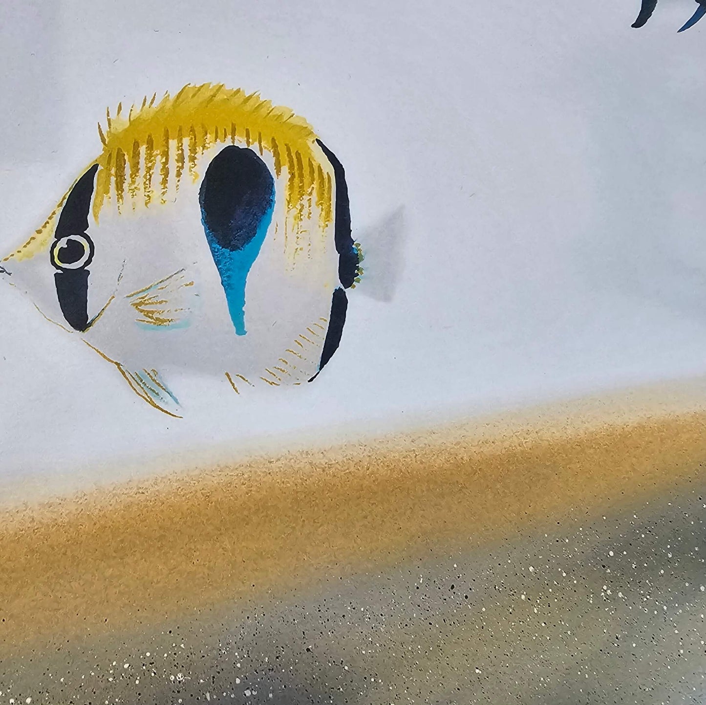 reef fish