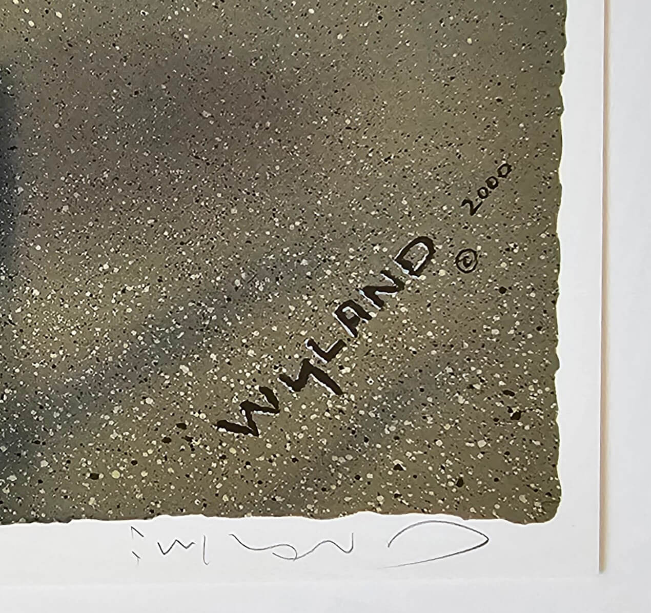 Wyland 2000 hand signed