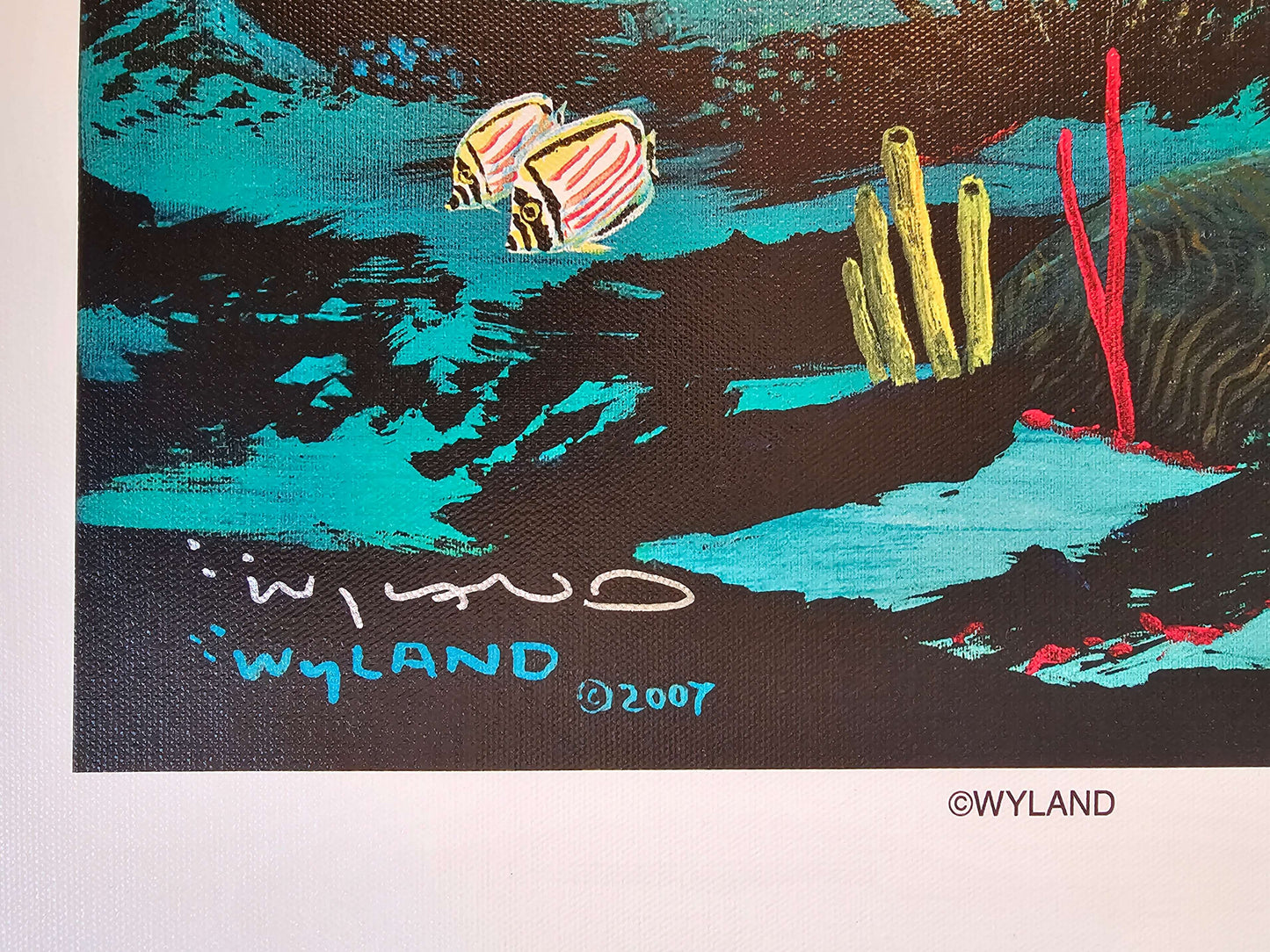 2007 C Wyland