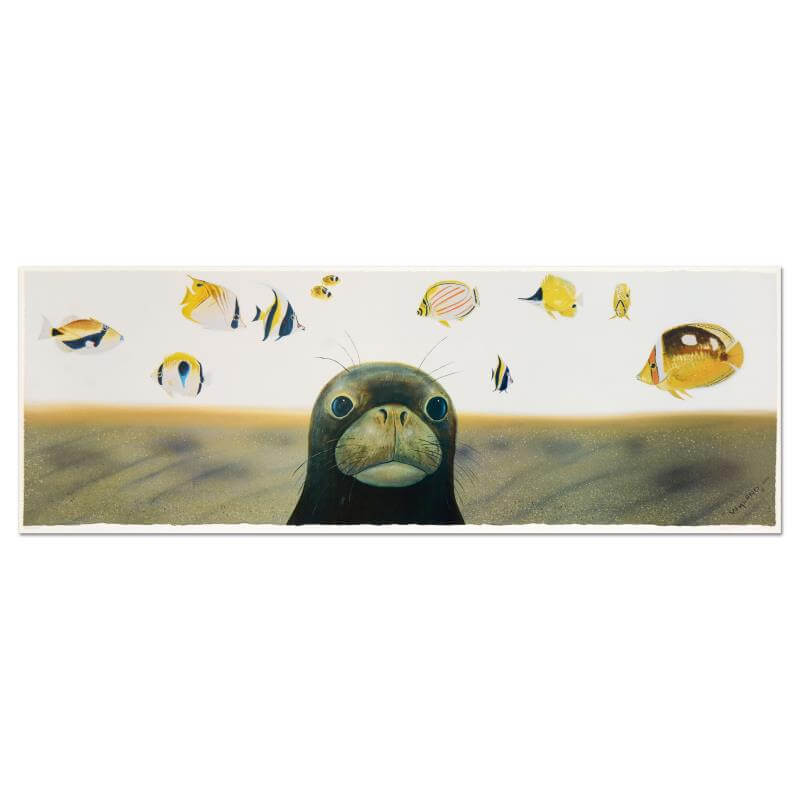 Monk seal with reef fish ocean art by Wyland
