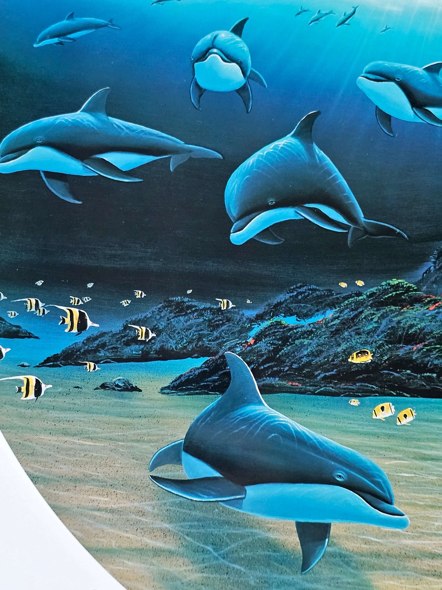 Dolphin art