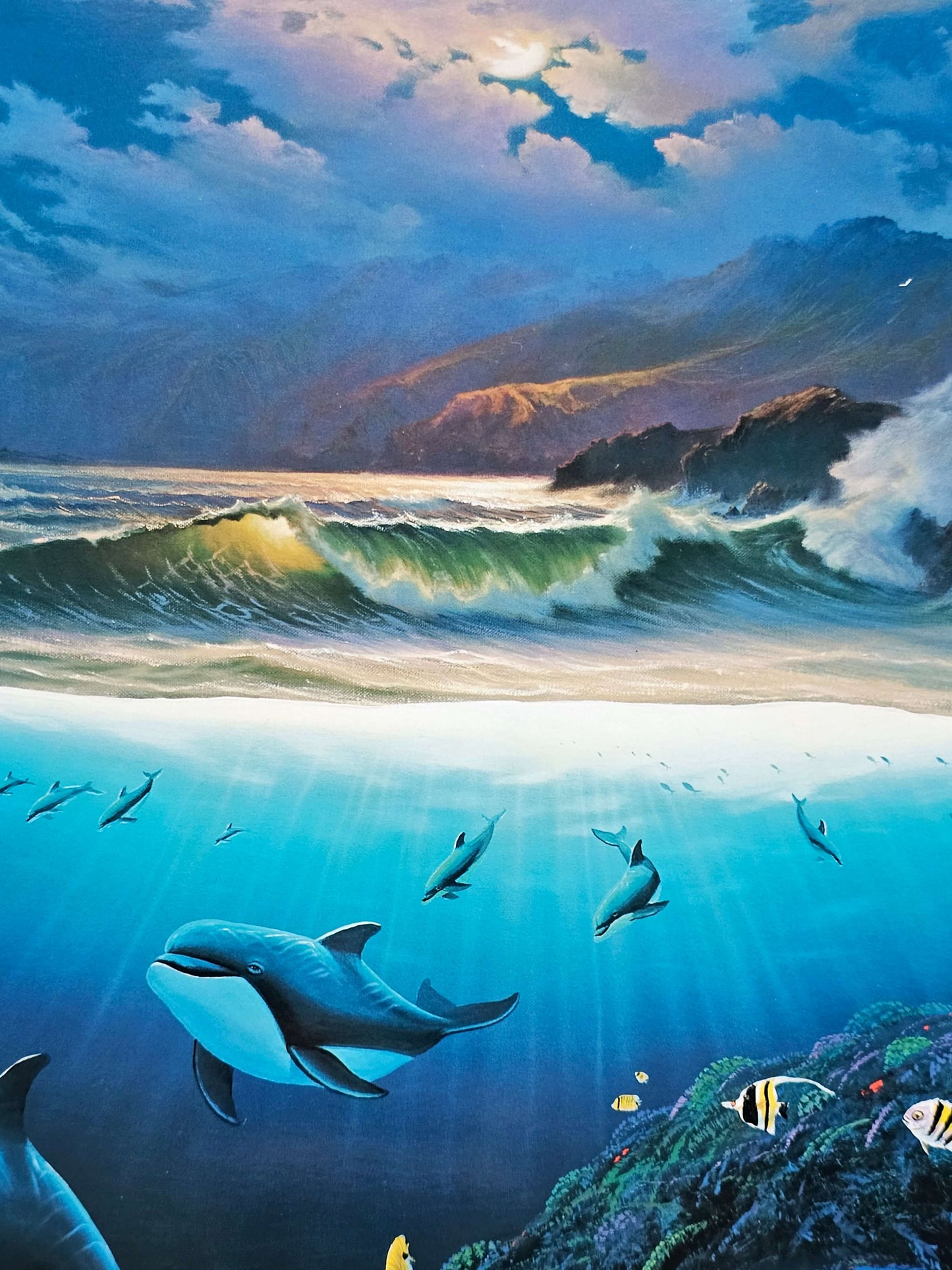 Moonlit waves with pod of dolphins Hawaii