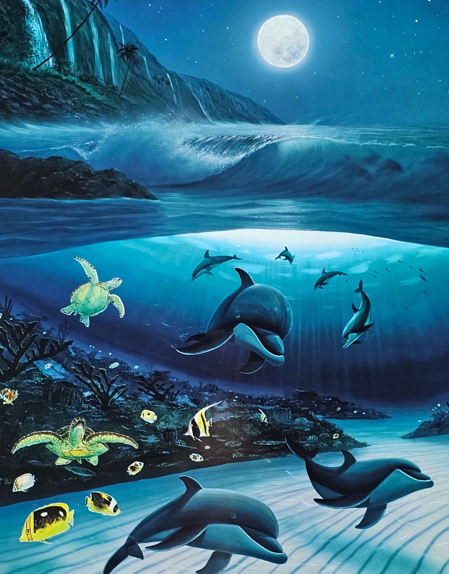 Wyland Dolphin art