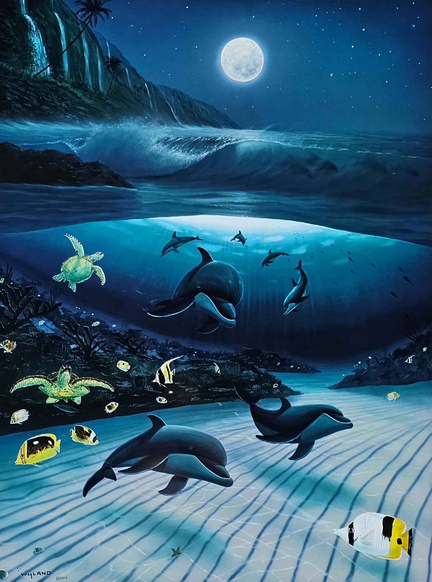 Wyland Dolphin art