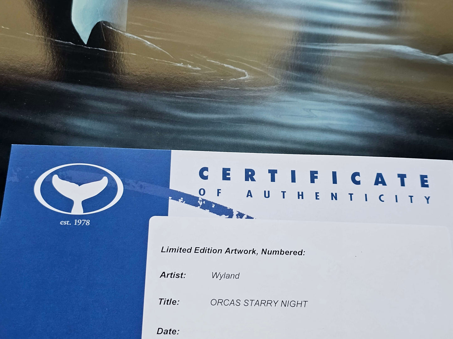 Wyland Orcas Starry Night