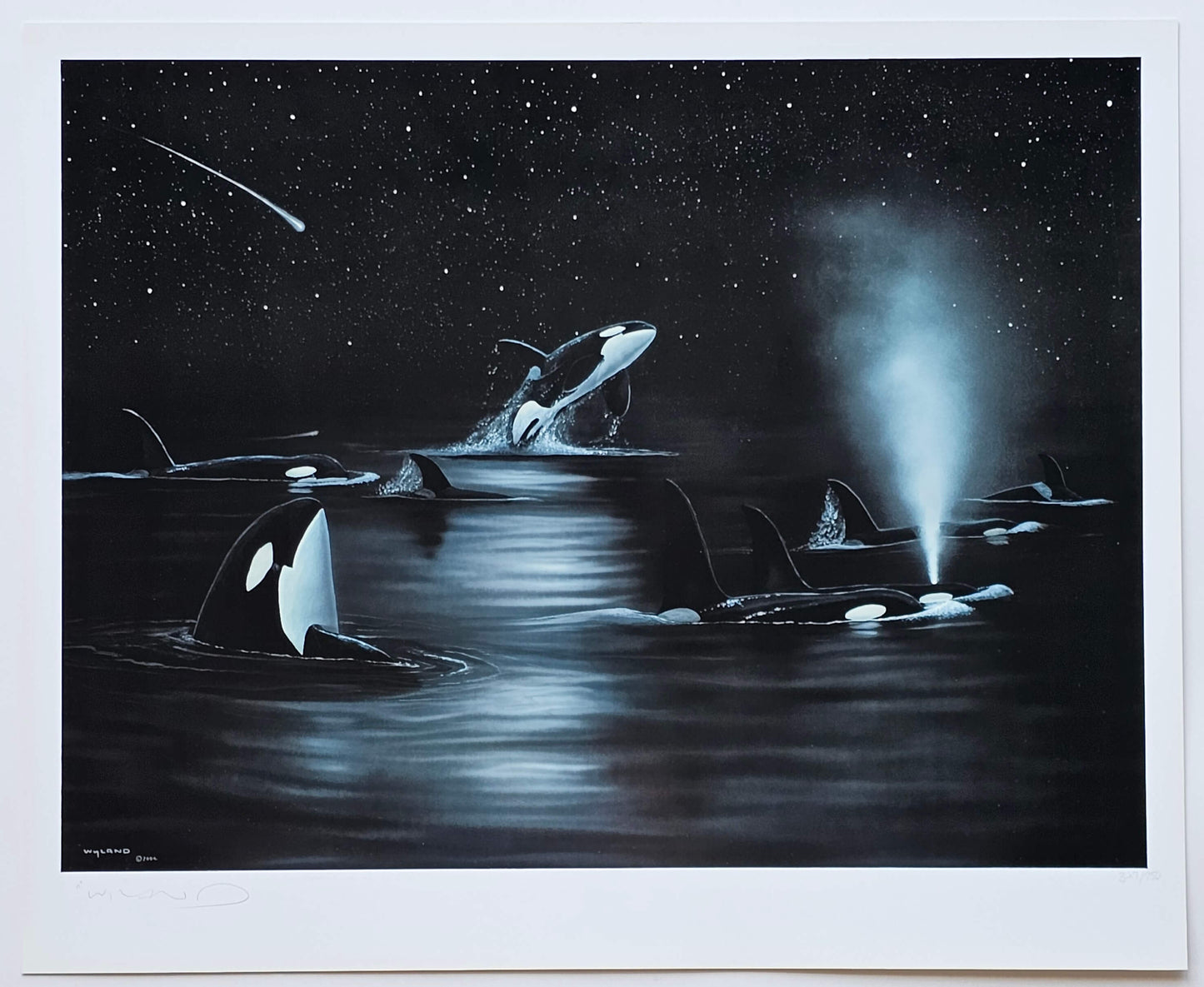 Wyland "Orca's Starry Night"