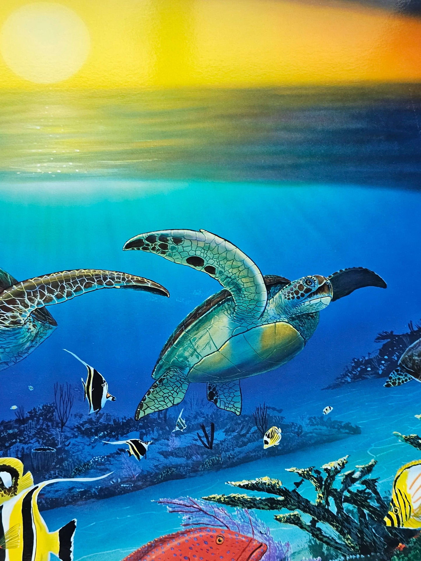 Wyland "Sea Turtle Reef"