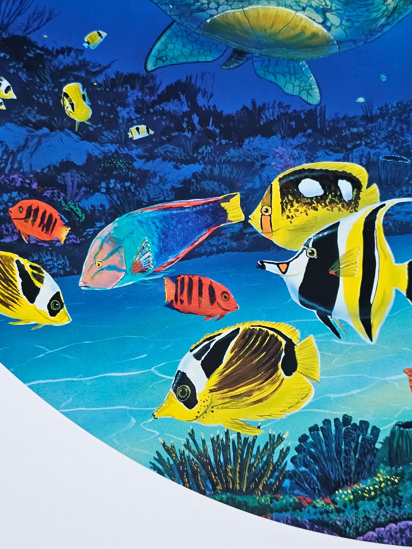 Wyland "Sea Turtle Reef"