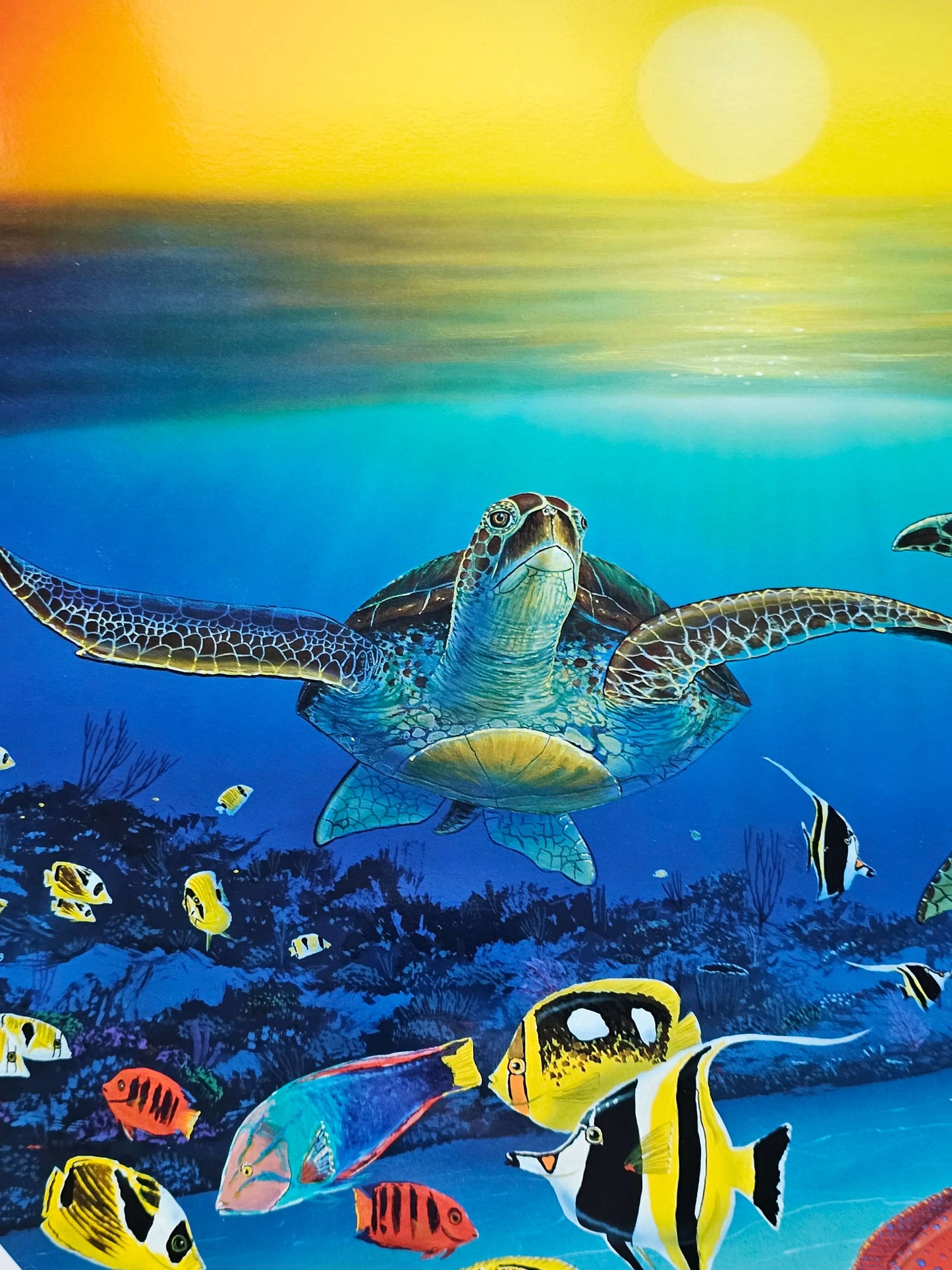 Wyland "Sea Turtle Reef"