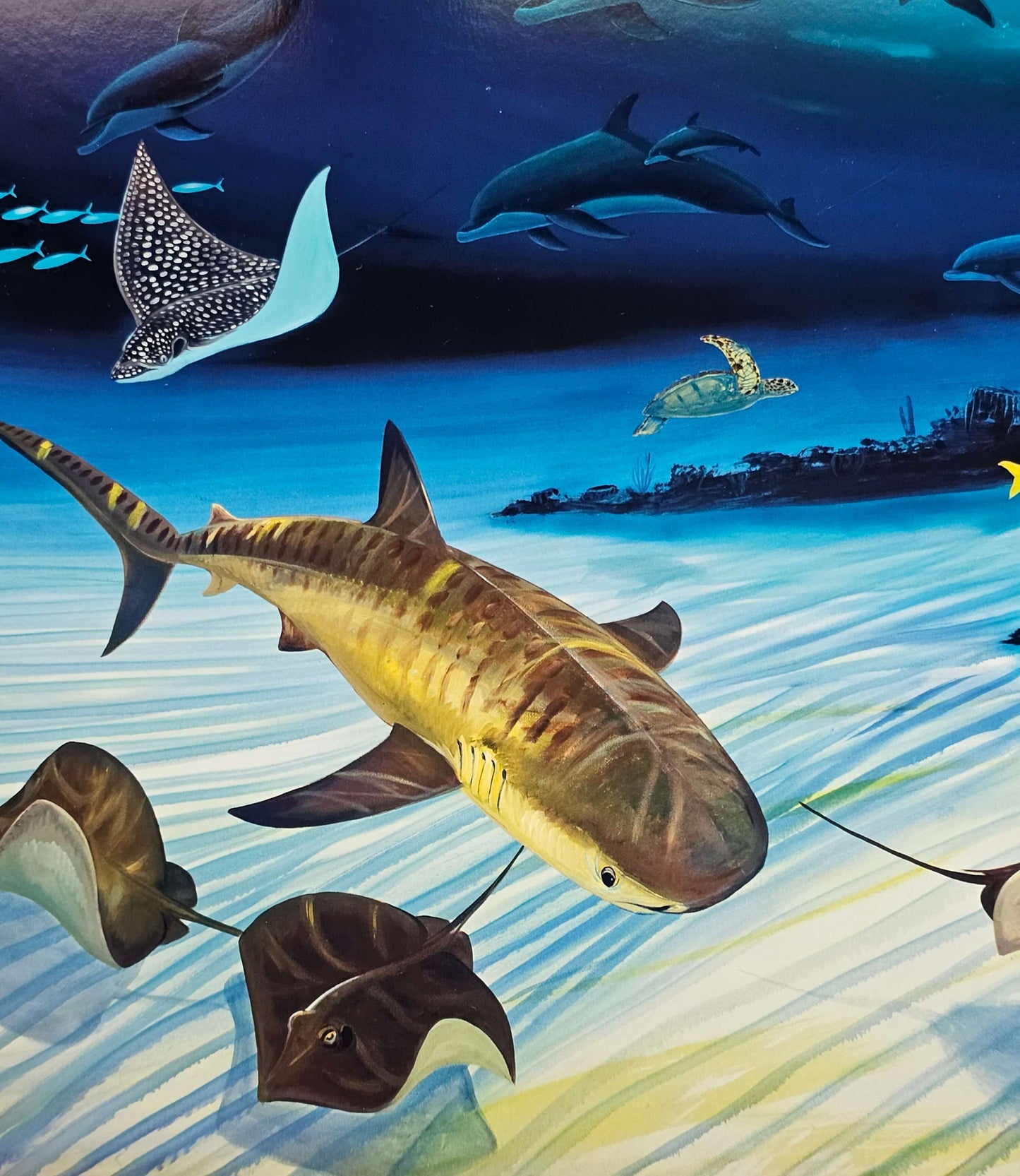 Wyland "Sea Life Below"