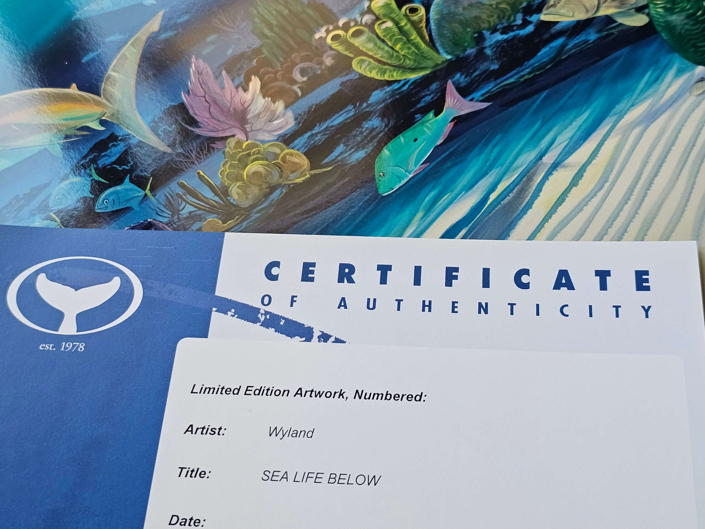 Wyland "Sea Life Below"