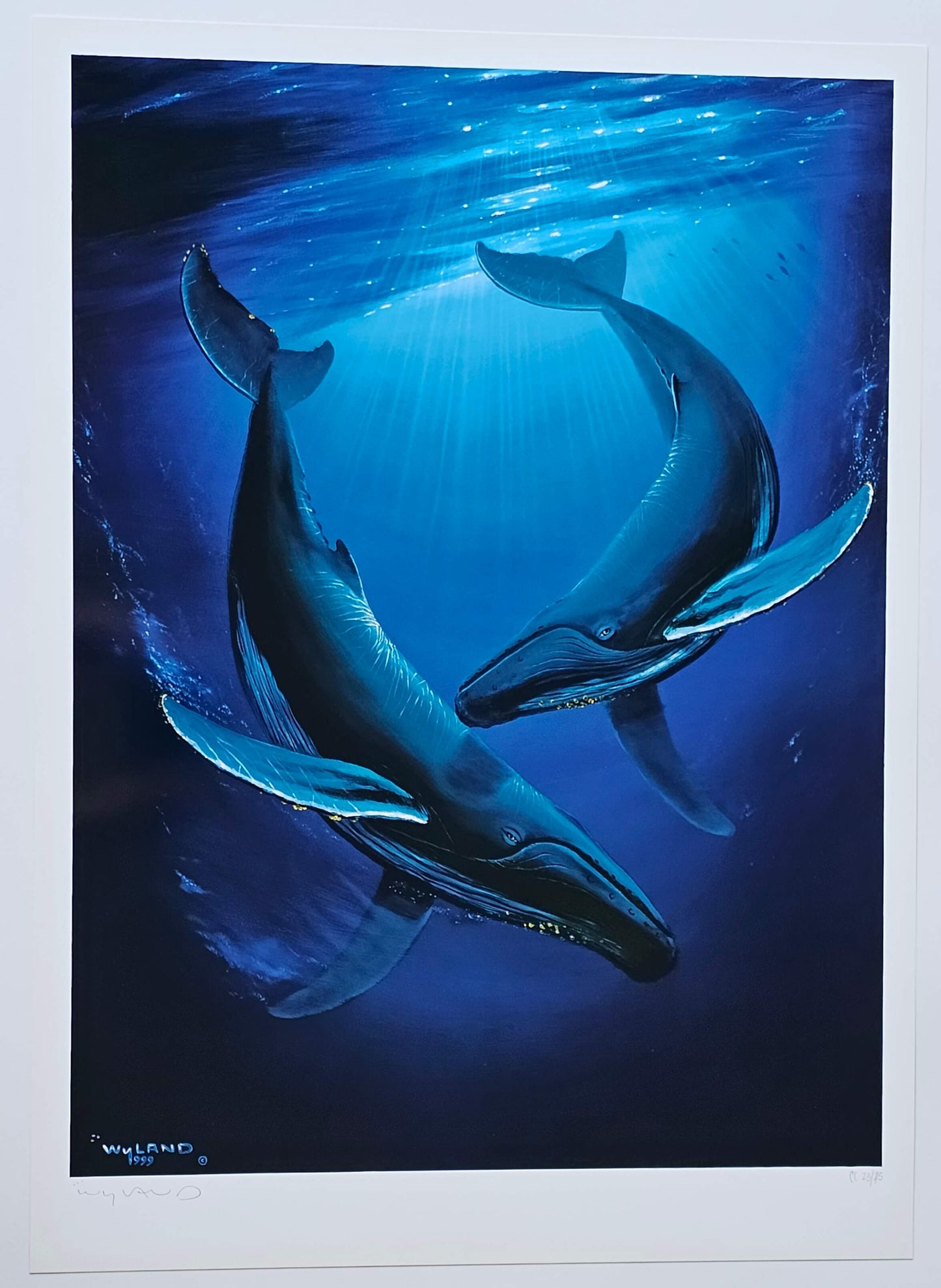Wyland "Song of the Deep" humpback whale art