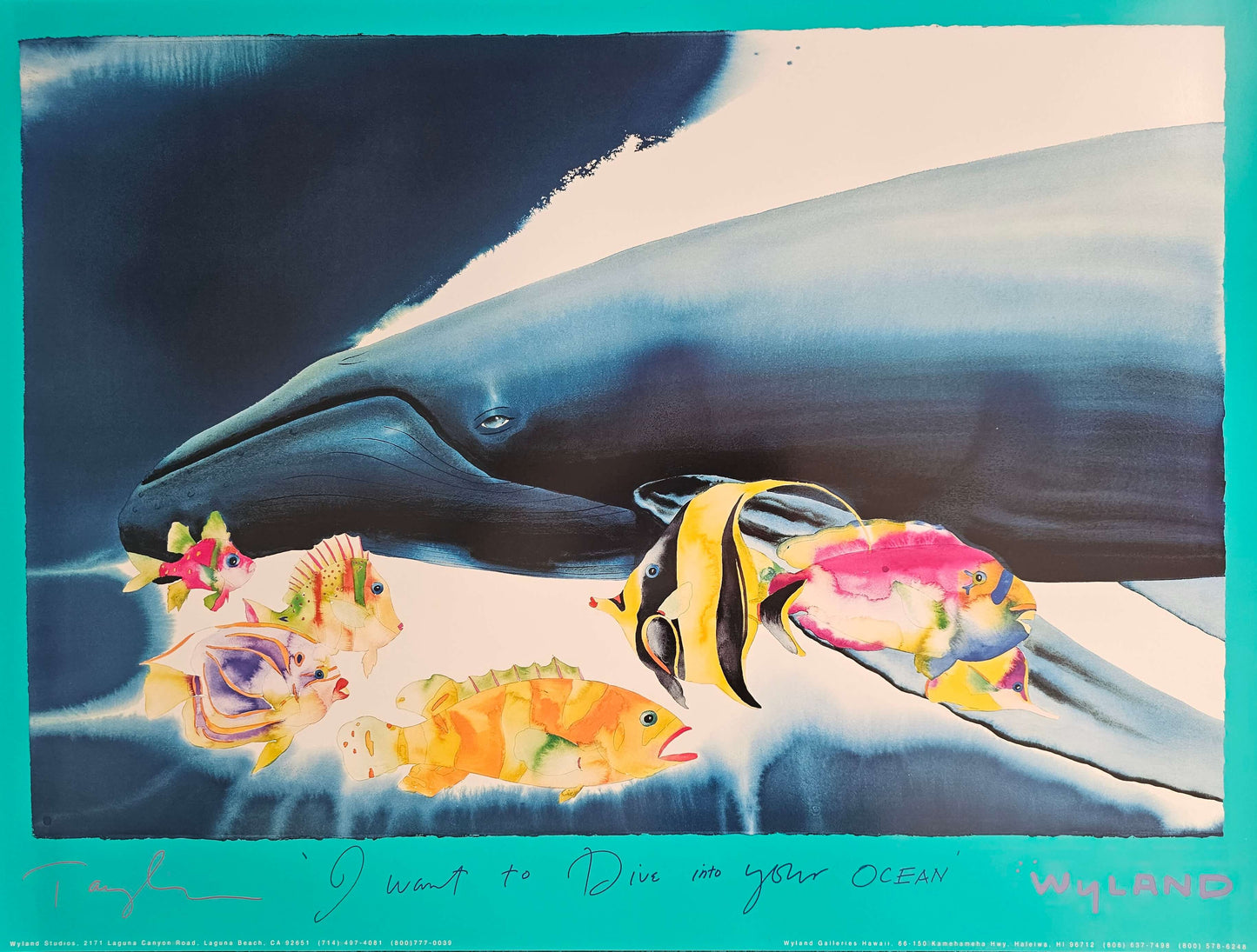 Humpback whale & reef fish art
