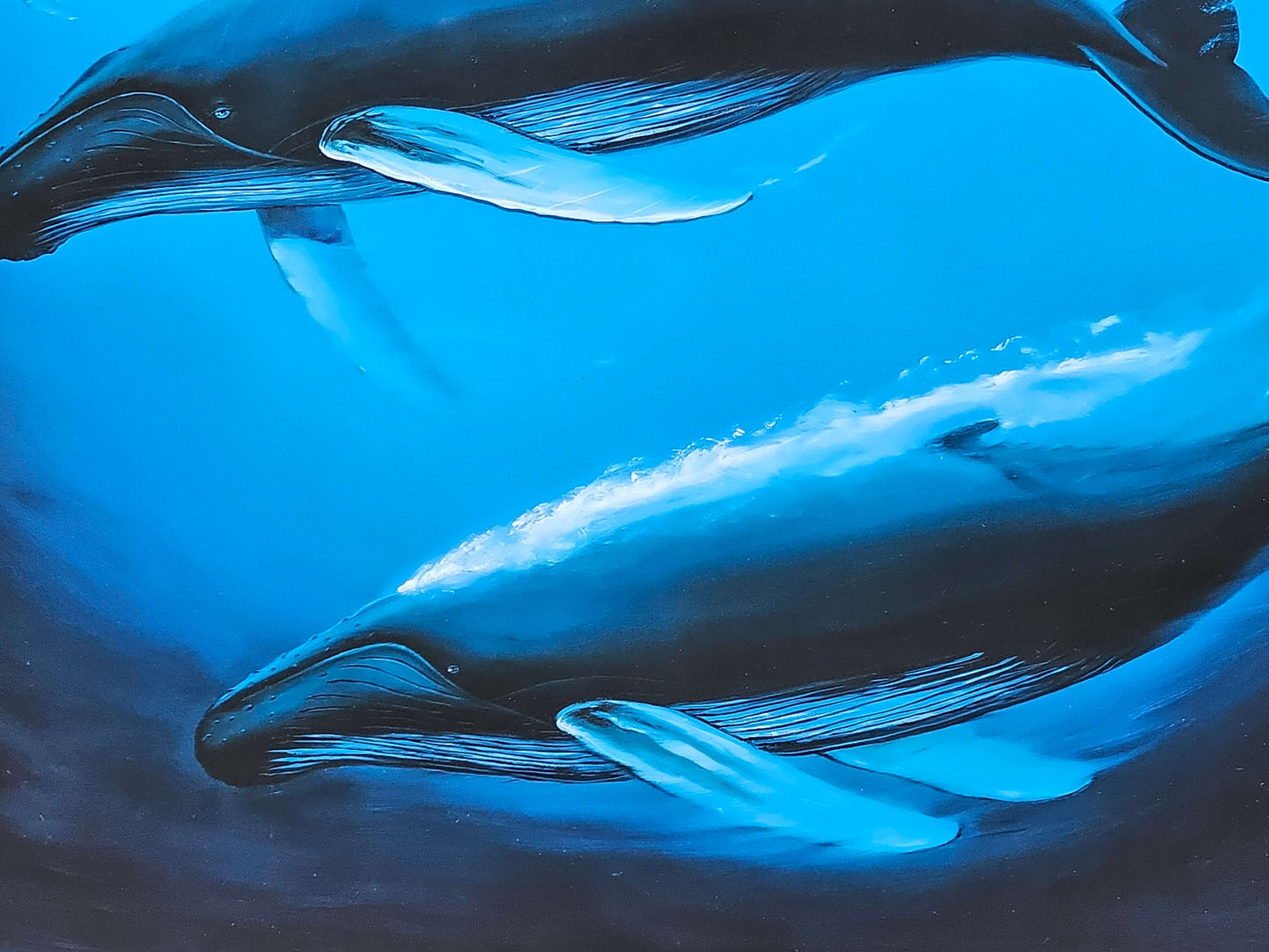 Whale art by Wyland