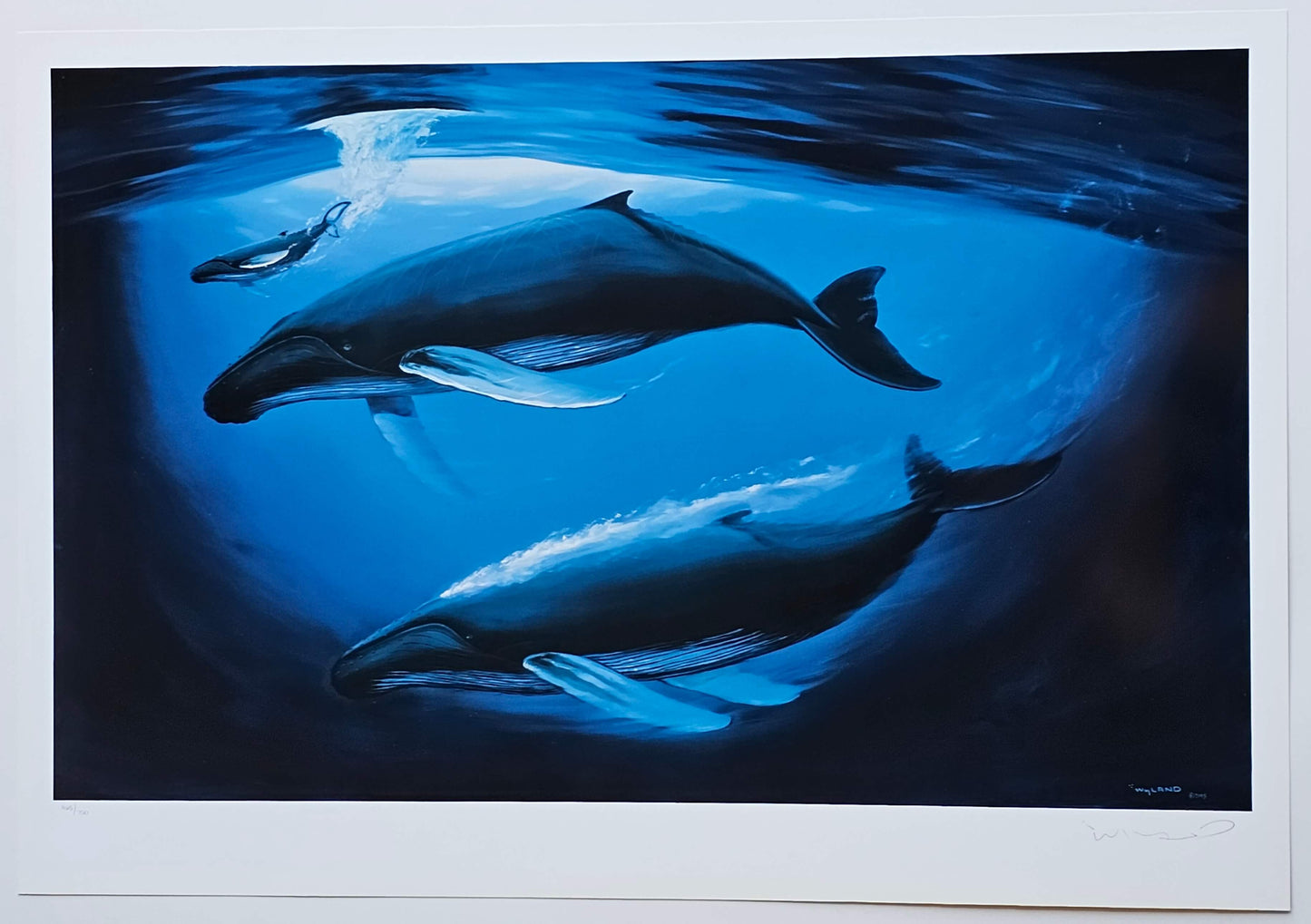 Wyland "A Sea of Life"