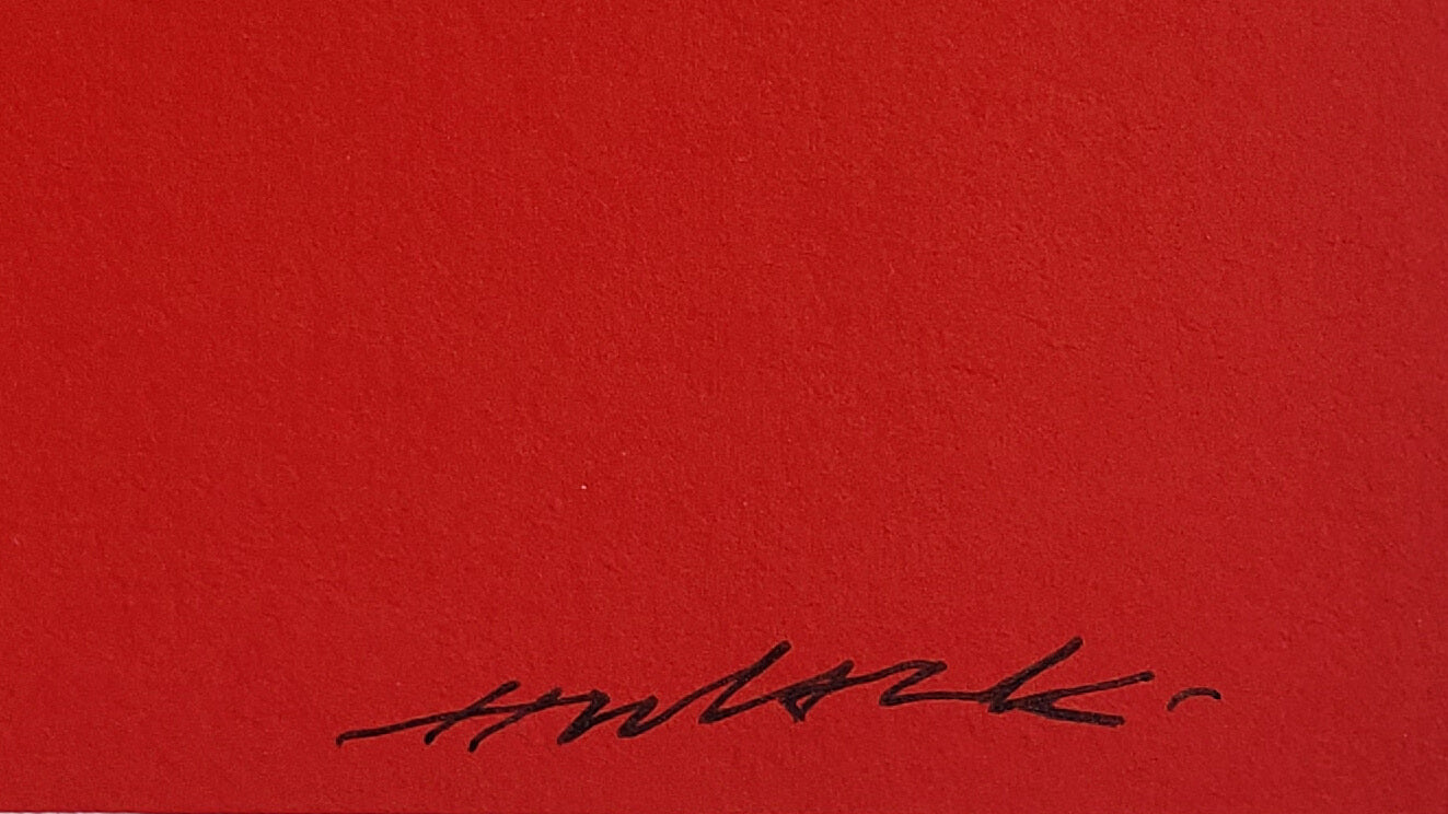 X-Ray Cat Hijack Street Art Graffiti Art Red Feline hand signed art