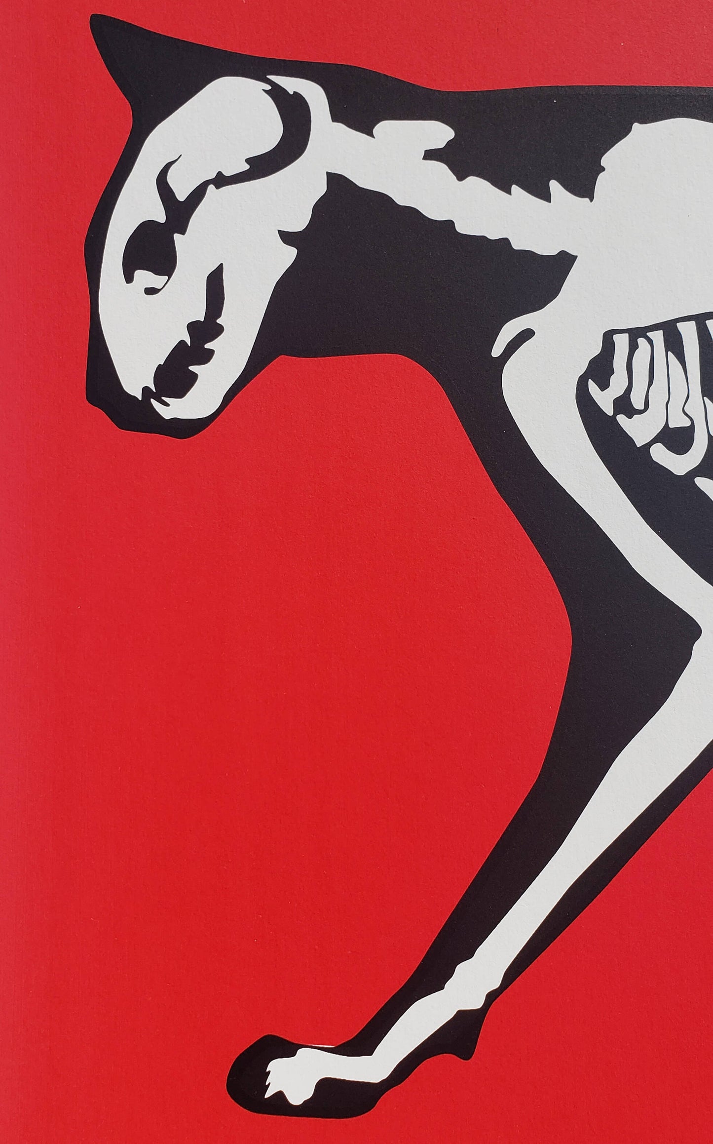 X-Ray Cat Hijack Street Art Graffiti Art Red Feline hand signed art