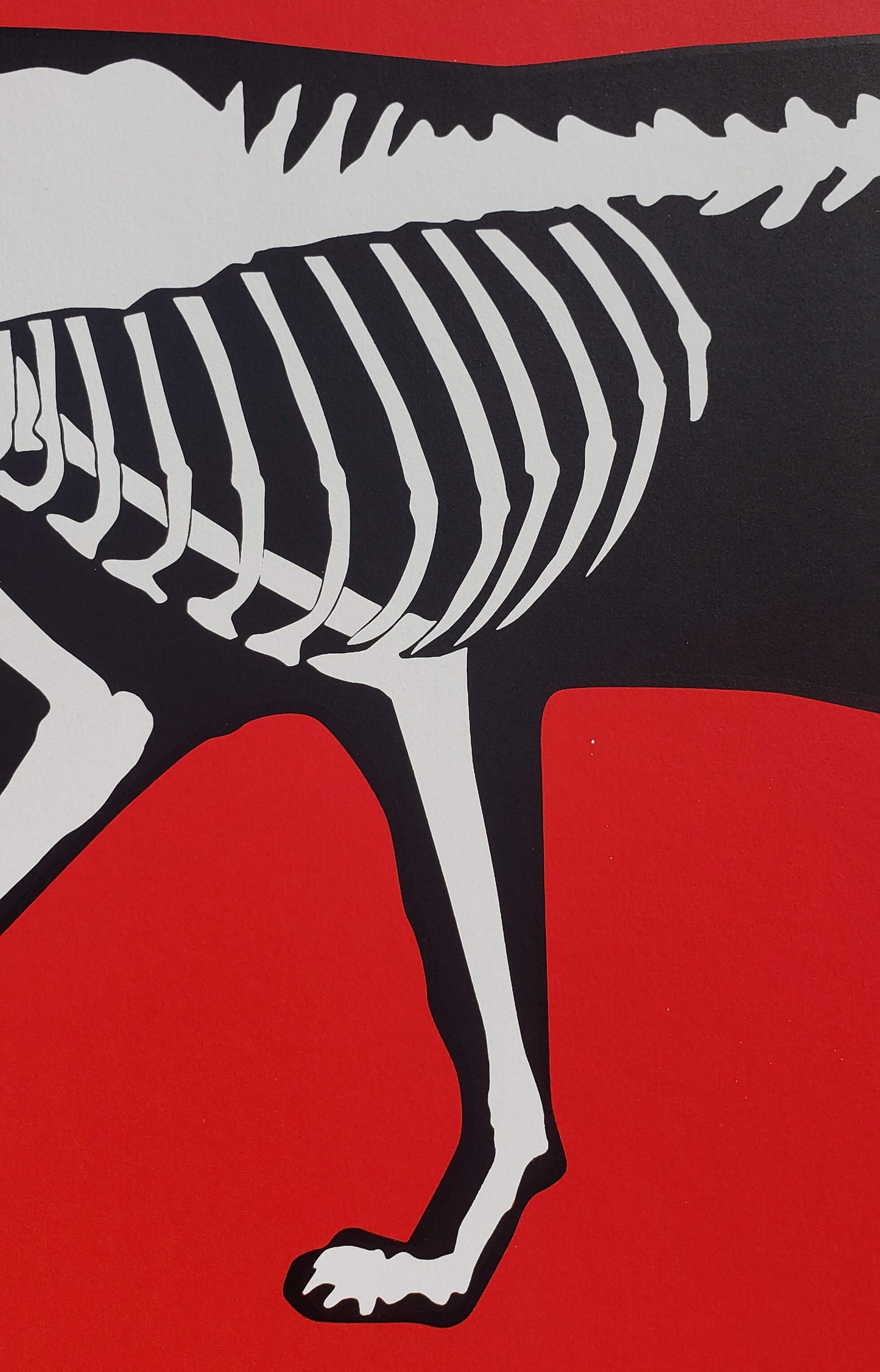 X-Ray Cat Hijack Street Art Graffiti Art Red Feline hand signed art