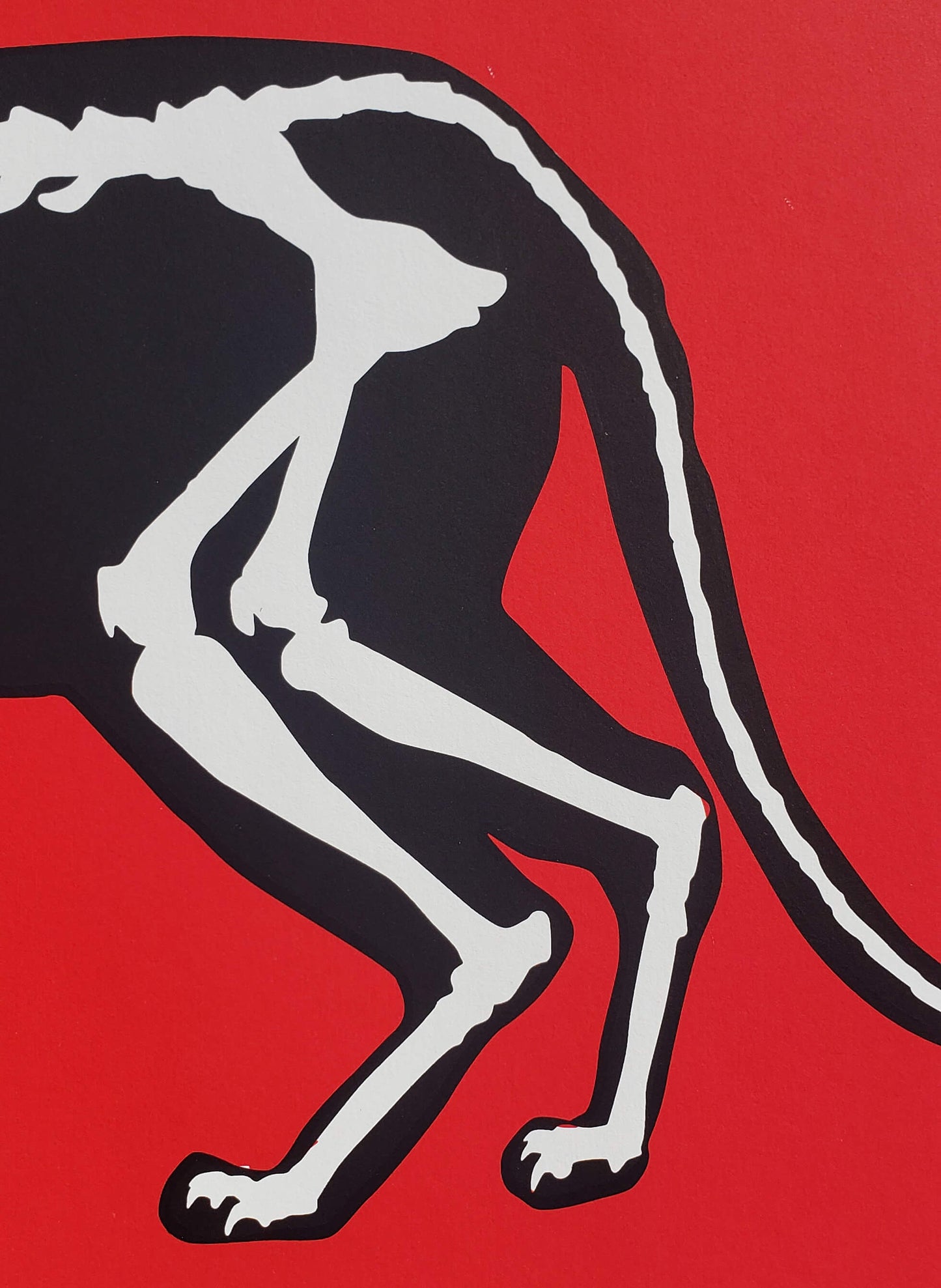 X-Ray Cat Hijack Street Art Graffiti Art Red Feline hand signed art