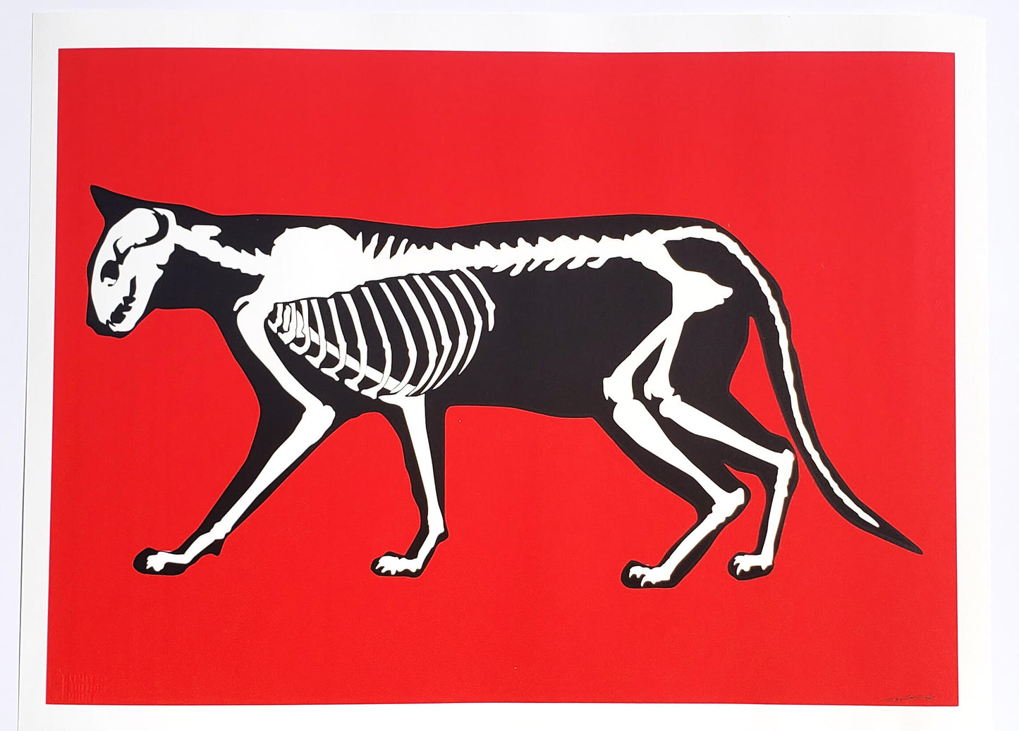 X-Ray Cat Hijack Street Art Graffiti Art Red Feline hand signed art