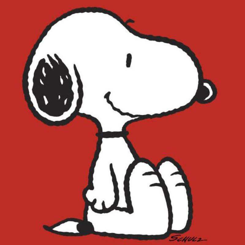 Charles Schulz Comic strip character Snoopy Dog from Peanuts on Red background