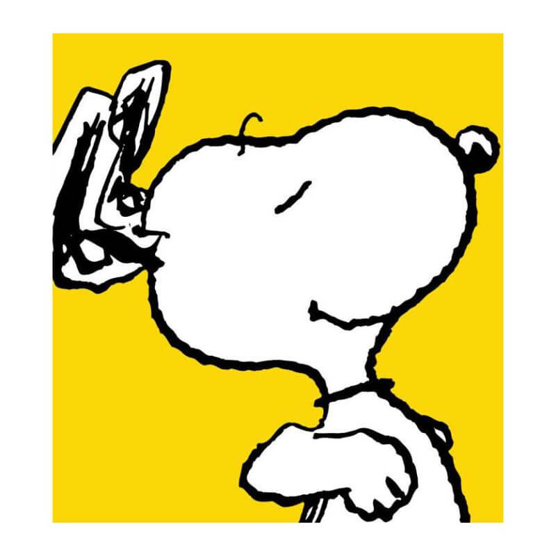 Snoopy with yellow background