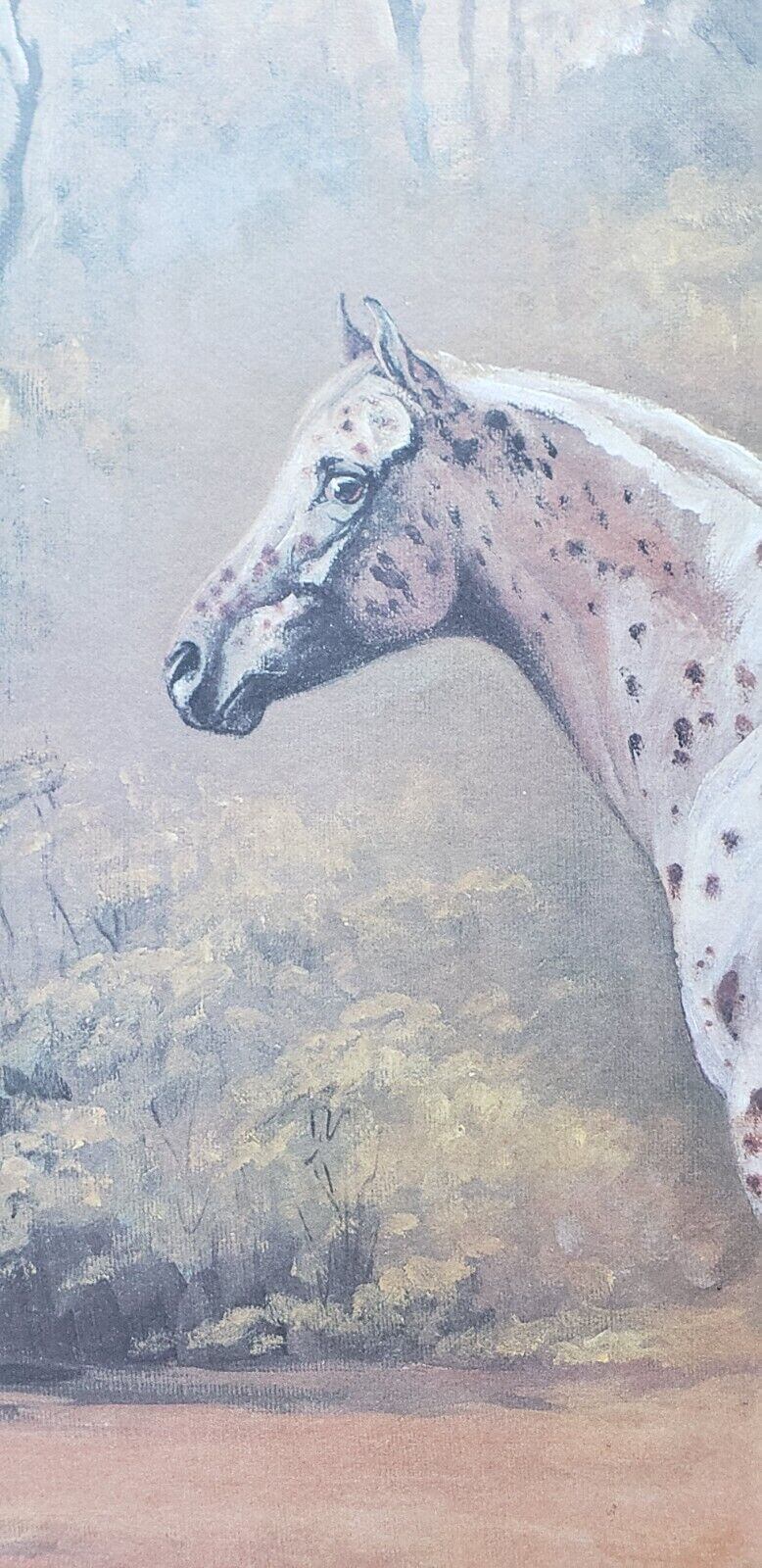 Helen Hayse Appaloosa Stud Horse Stallion Art Print Lithograph