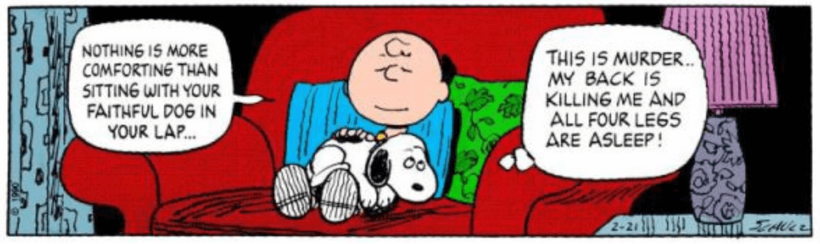 Nothing is more comforting than sitting with your faithful dog in your lap... This is murder... my back is killing me and all four legs are asleep! Charles M. Schulz Faithful Dog Comic strip art