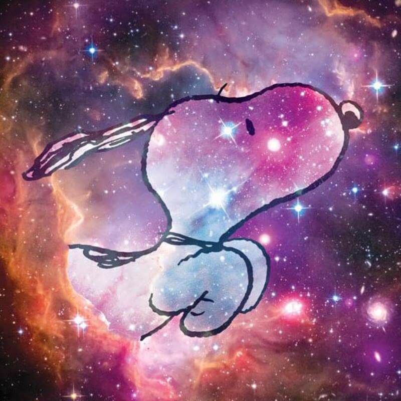 Peanuts Snoopy Reach for the Stars NASA fine art on canvas