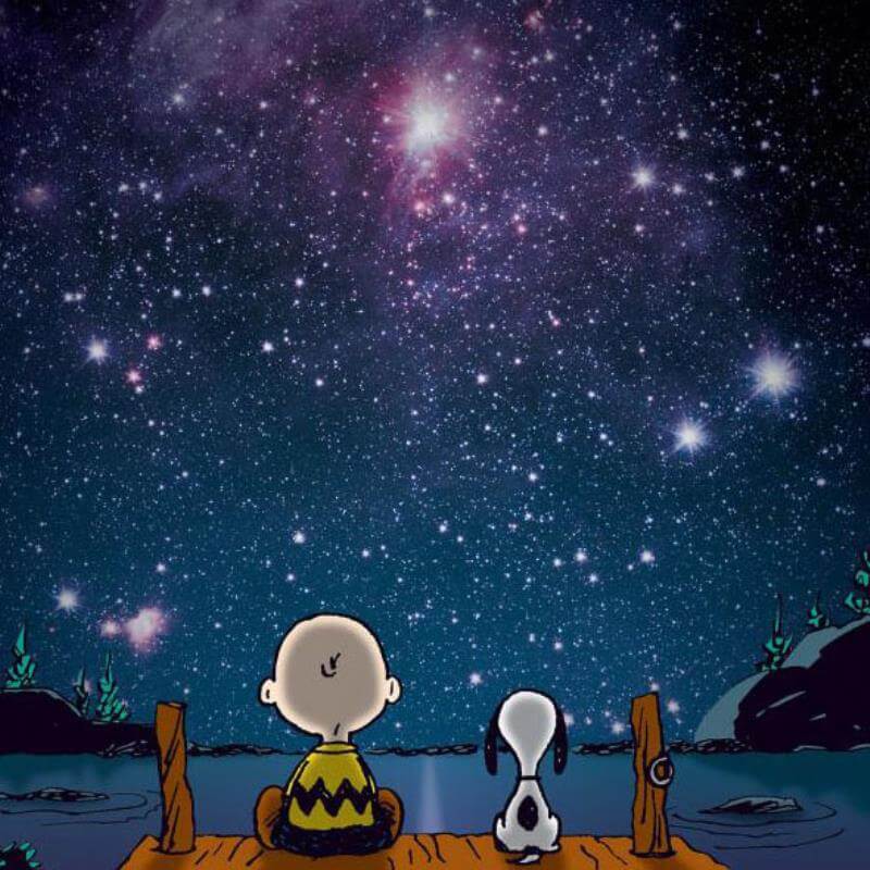 Peanuts "Stars" NASA photograph Snoopy Charlie Brown looking at the stars fine art print sitting on dock
