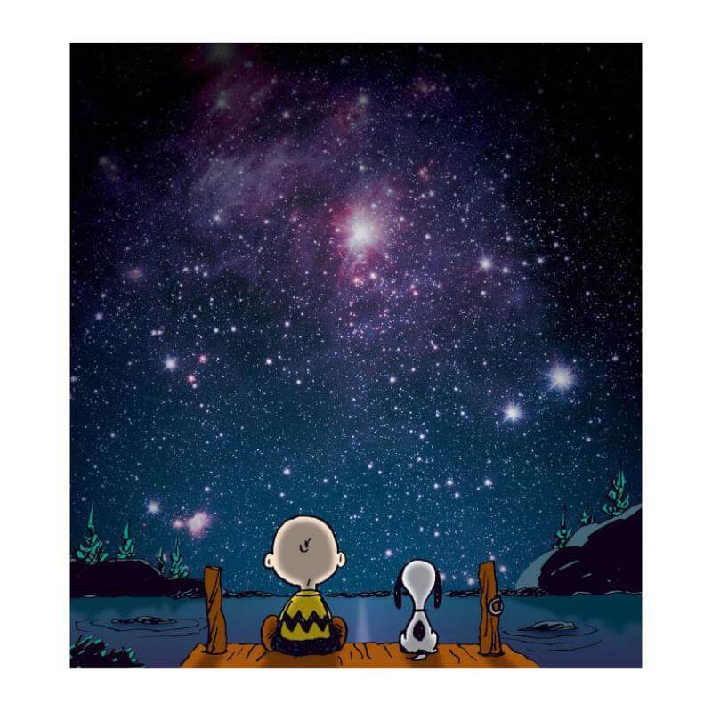 Peanuts "Stars" NASA photograph Snoopy Charlie Brown looking at the stars fine art print