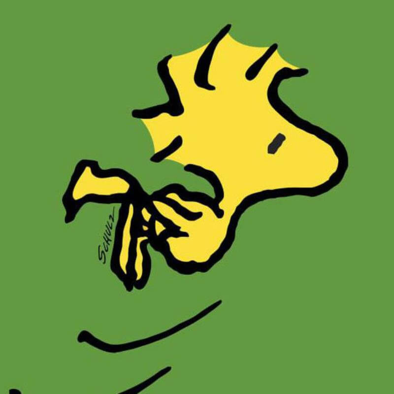 Charles M. Schulz Peanuts comic strip art Woodstock yellow bird on green background
