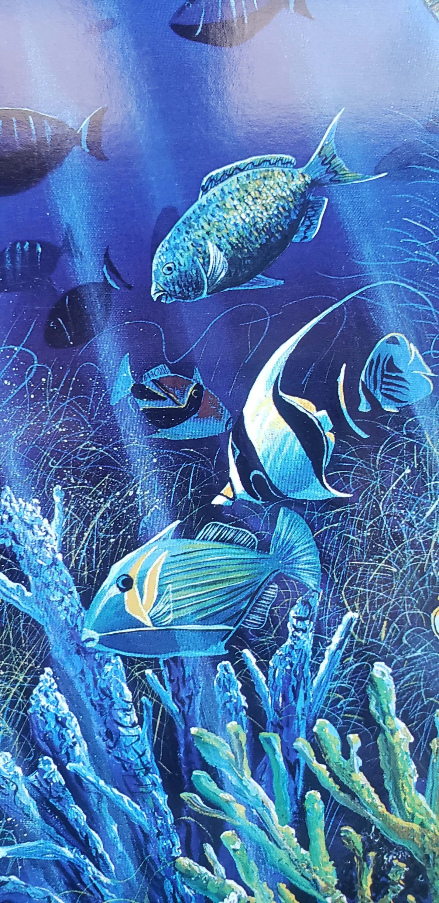 Robert Lyn Nelson Dolphin Time hand signed art 1986 with sea turtles, reef fish and corals with dolphins jumping out of water
