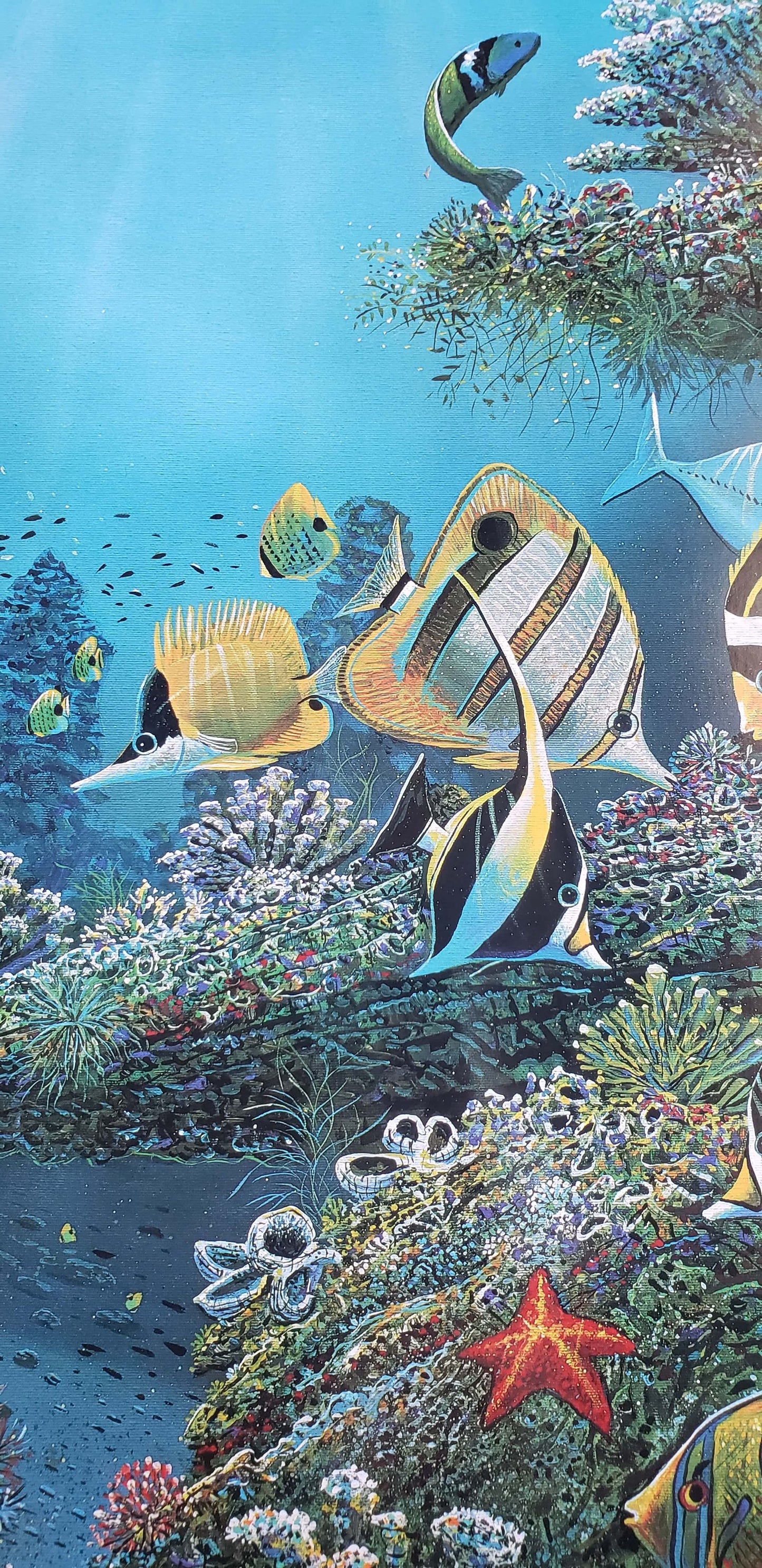 Robert Lyn Nelson reef fish sea star and coral art