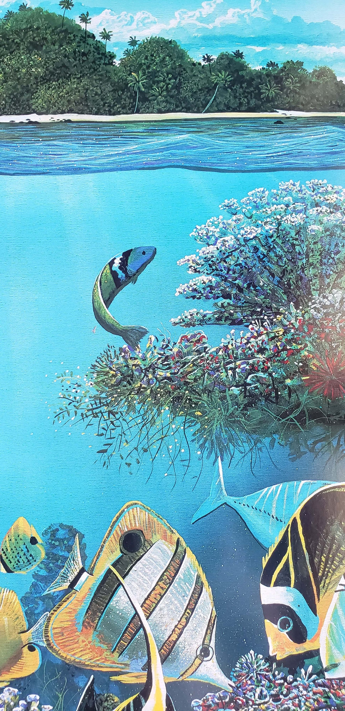 reef fish with tropical island above