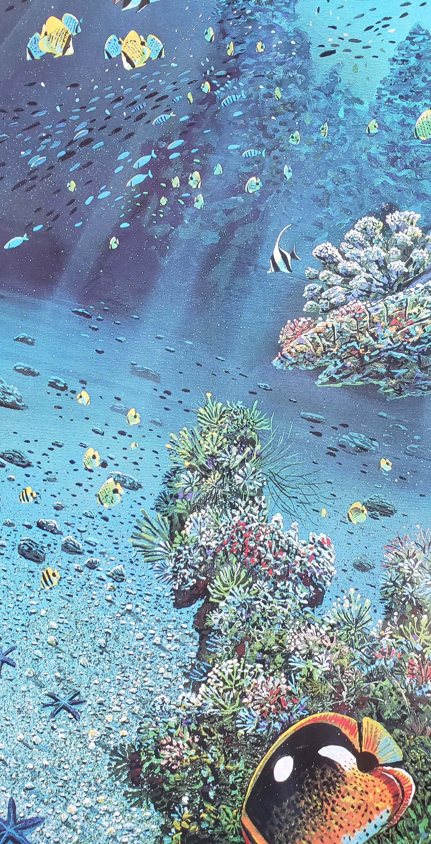 schools of fish, coral reef and reef fish