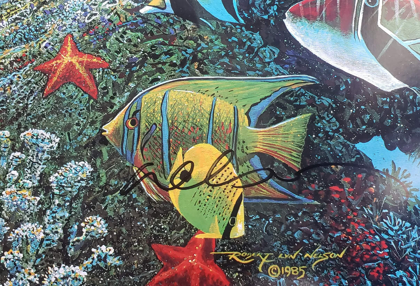 Robert Lyn Nelson signed sea star art 1985