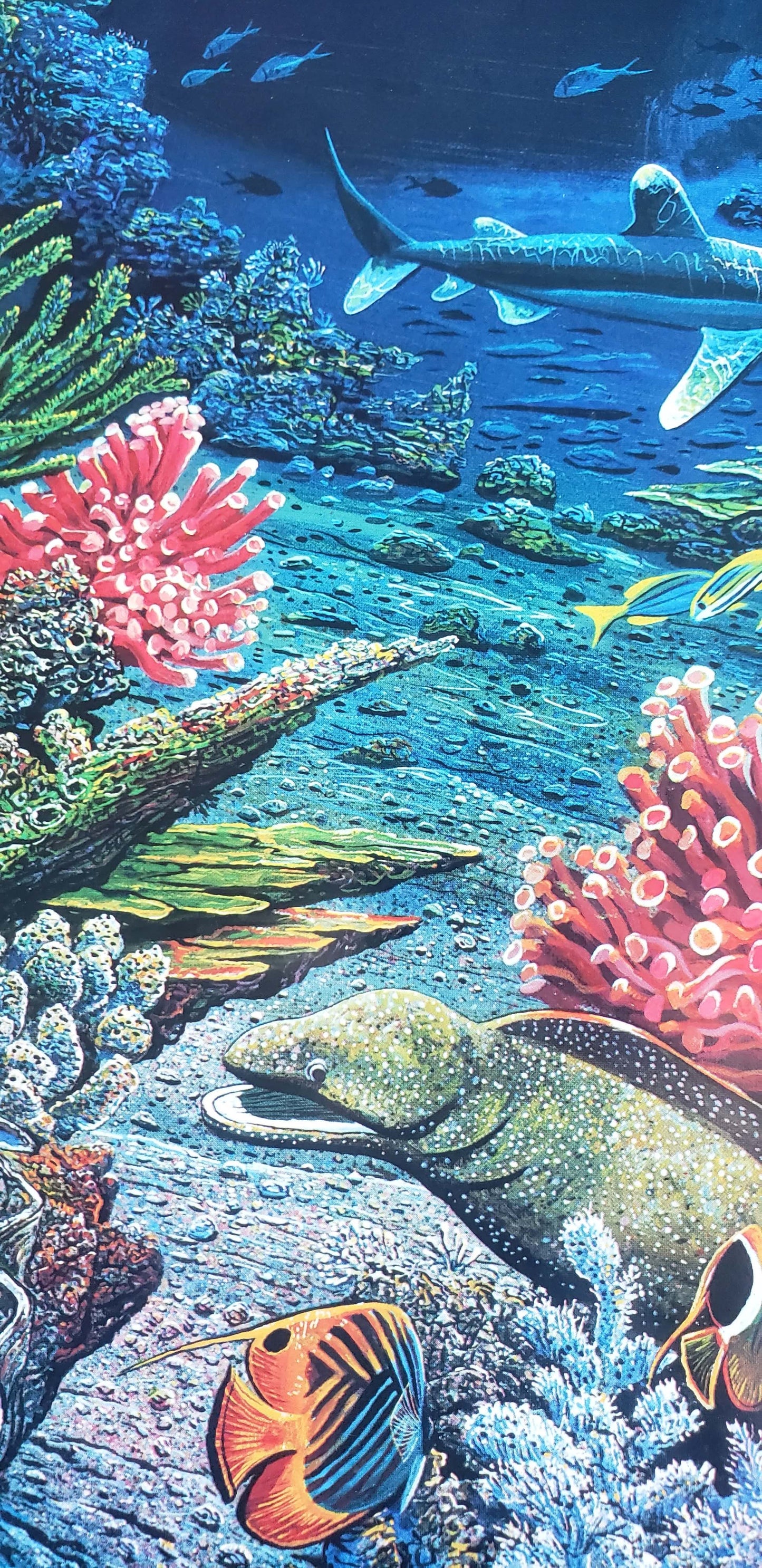 Robert Lyn Nelson Hand Signed Three Worlds whale ocean moon coral reef shark orca art