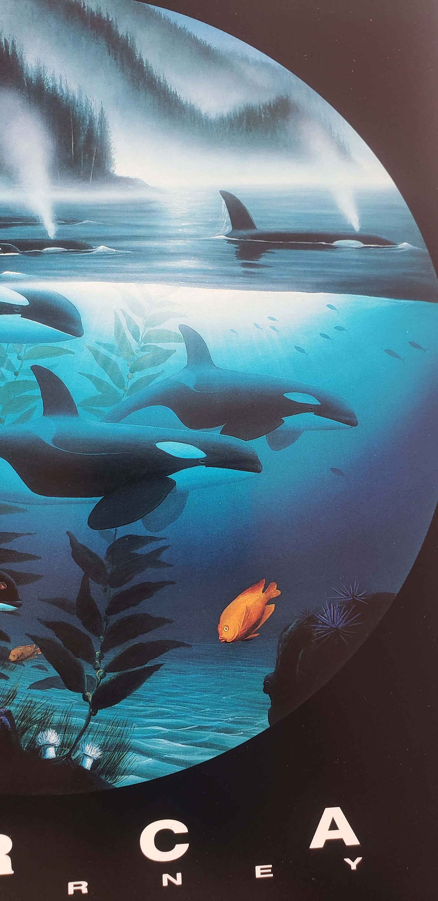 Wyland "Orca Journey" Killer Whales Art