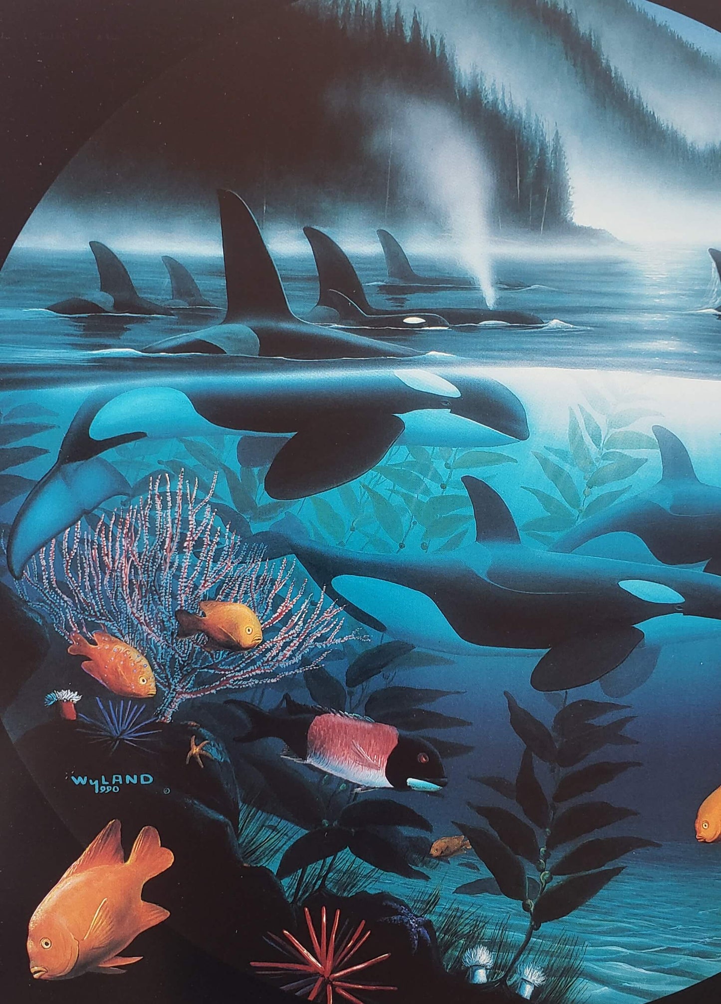 Wyland "Orca Journey" Killer Whales Art