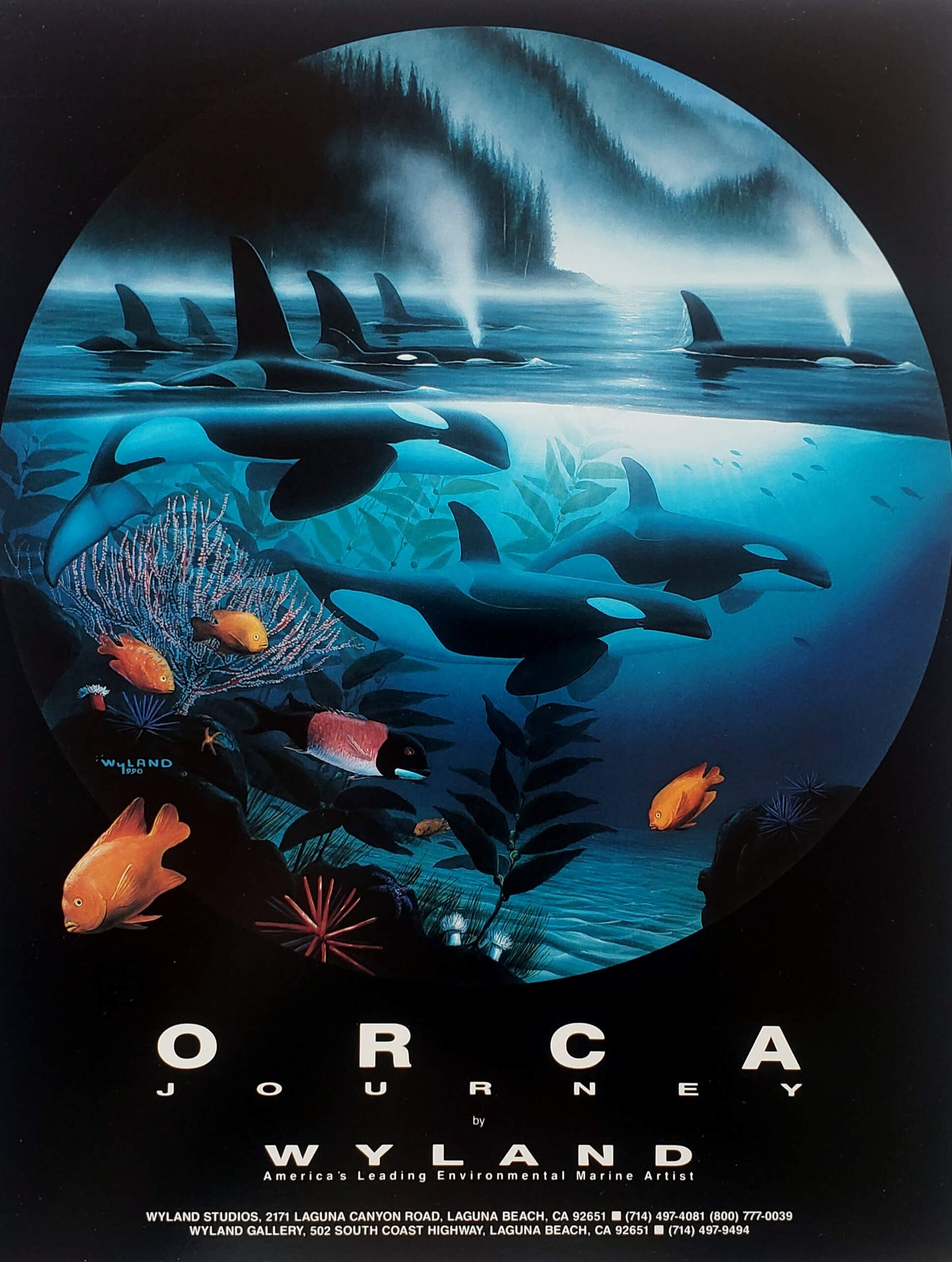 Wyland "Orca Journey" Killer Whales Art